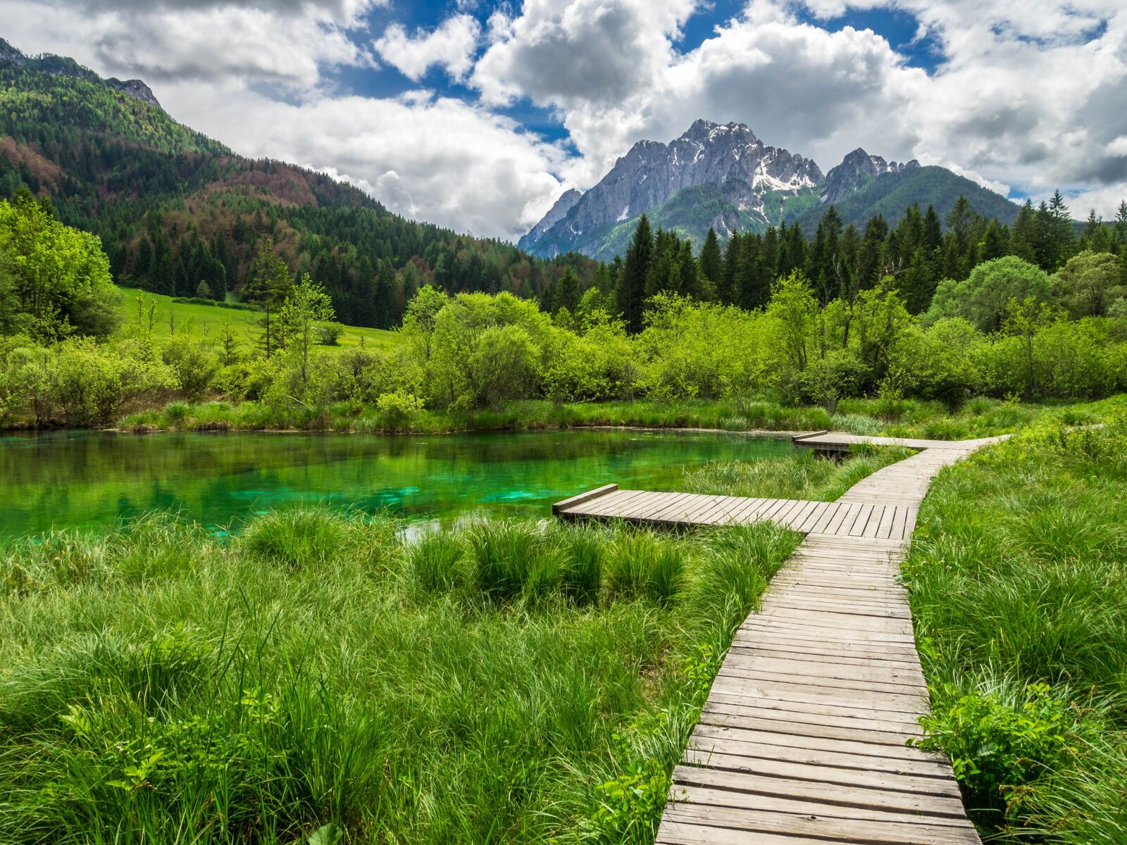 Olympus OM-D E-M1 + OLYMPUS M.12-50mm F3.5-6.3 sample photo. Zelenci, slovenia, mountains photography