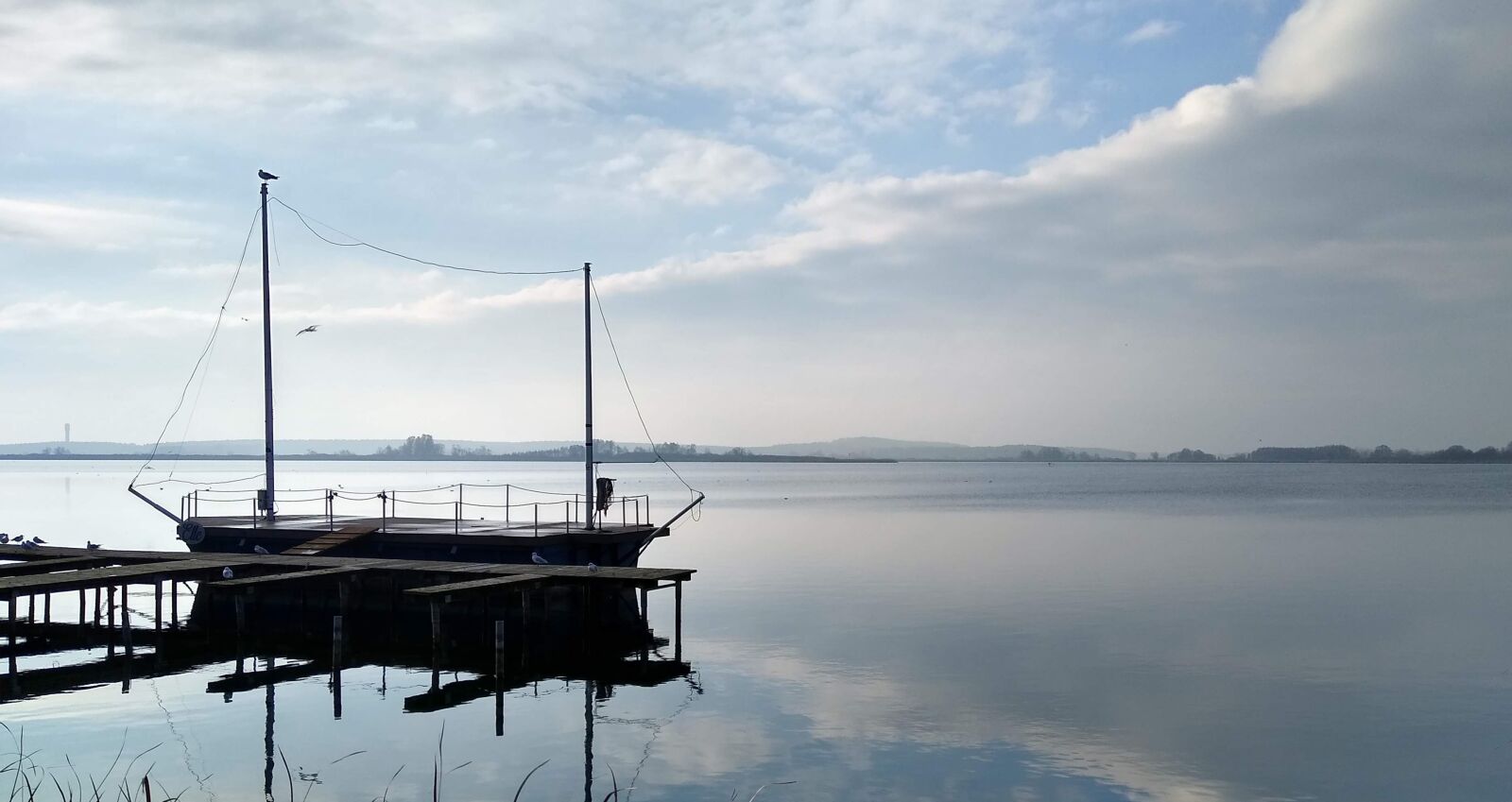 Motorola moto g(7) power sample photo. Germany, brandenburg, rangsdorf photography
