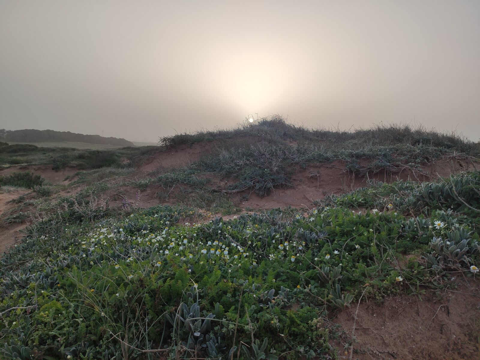 Xiaomi Mi 9T sample photo. Sunshine, field, nature photography