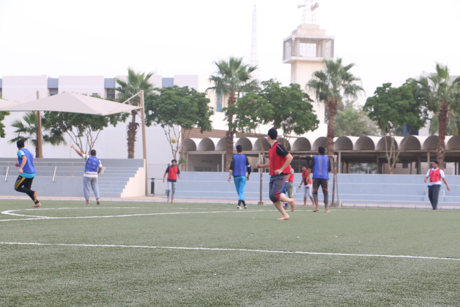 Canon EOS 70D sample photo