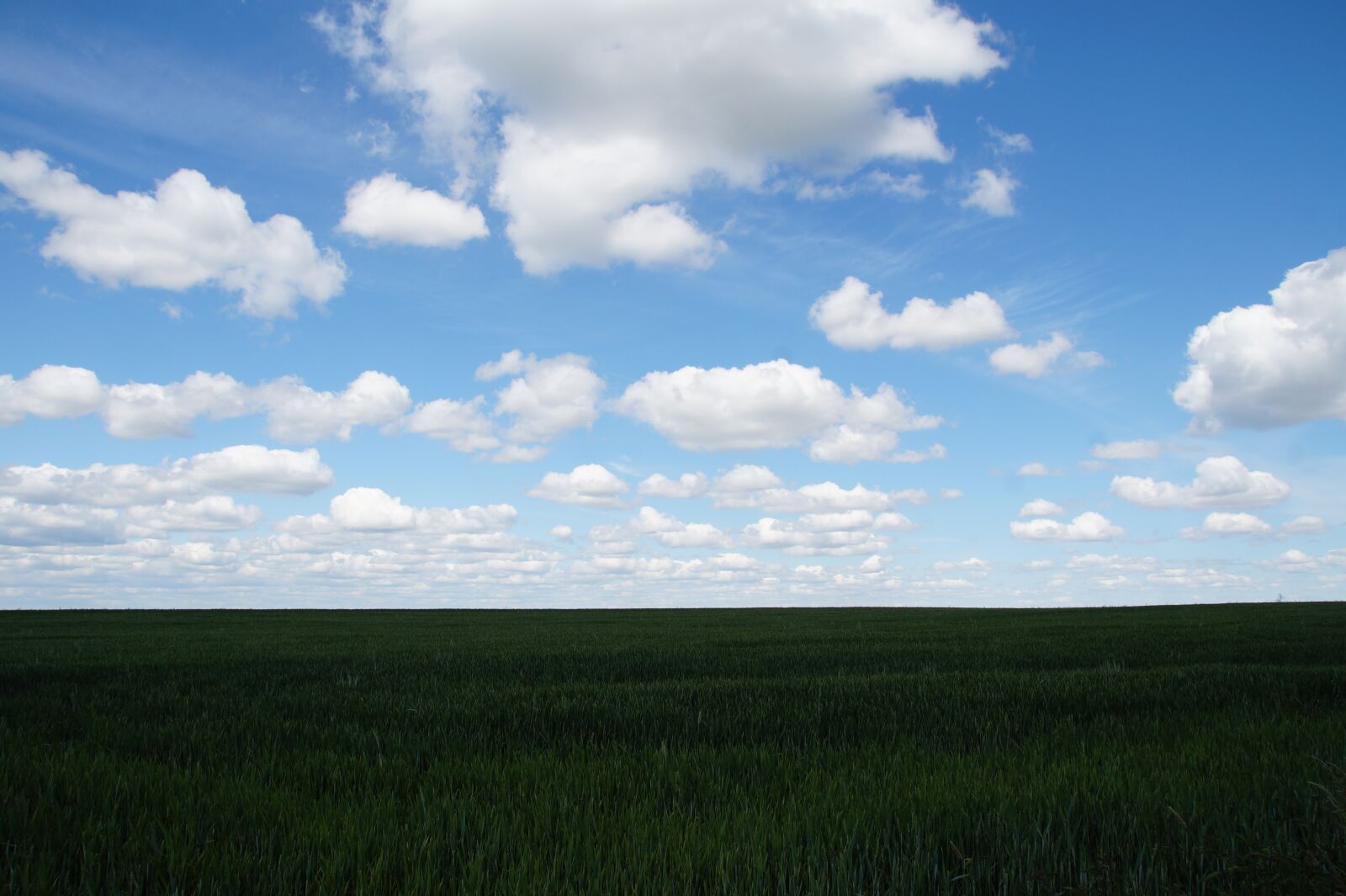 Sony SLT-A58 sample photo. Heaven, clouds, field photography
