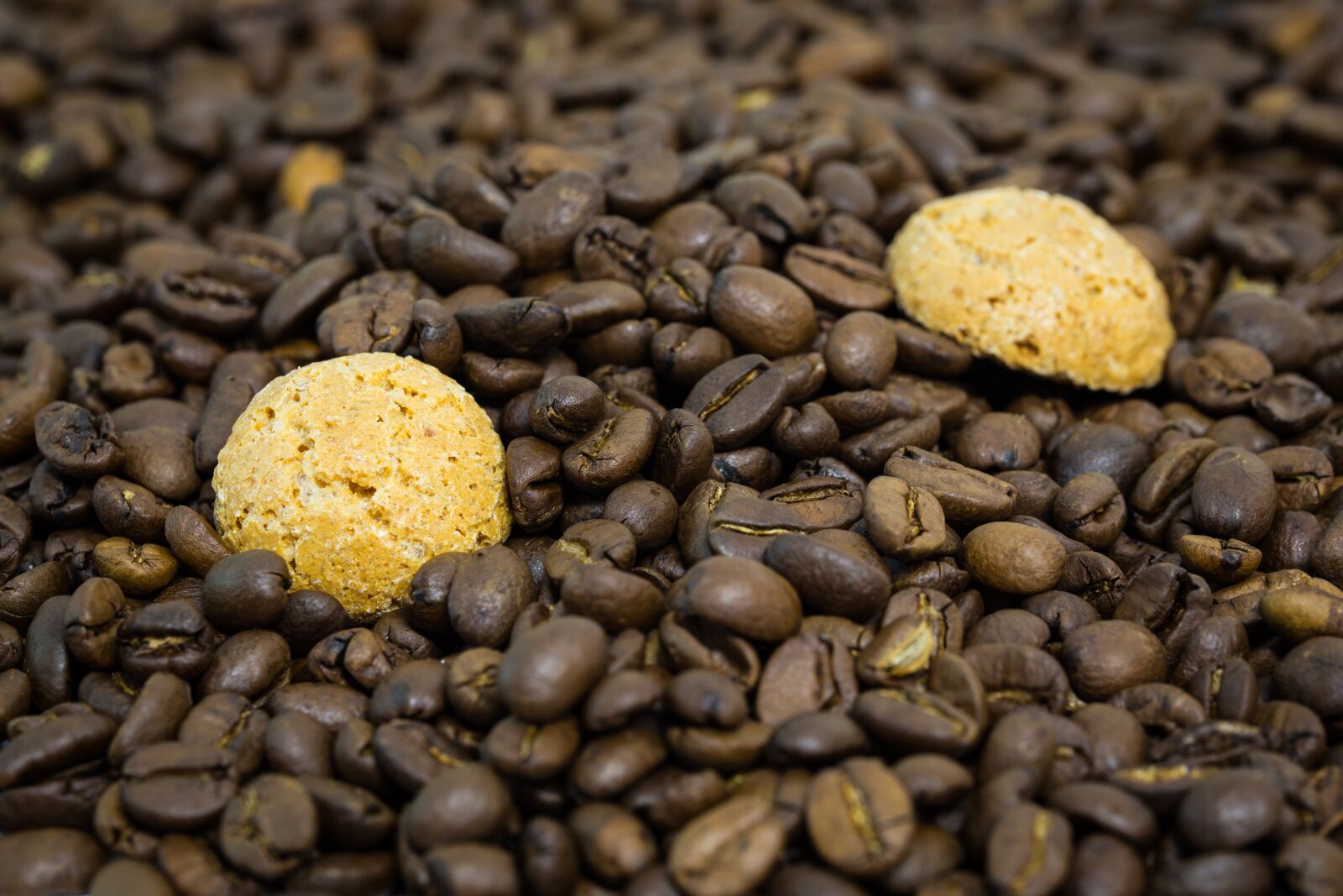 Canon EOS 6D sample photo. Coffee, biscuit, food photography