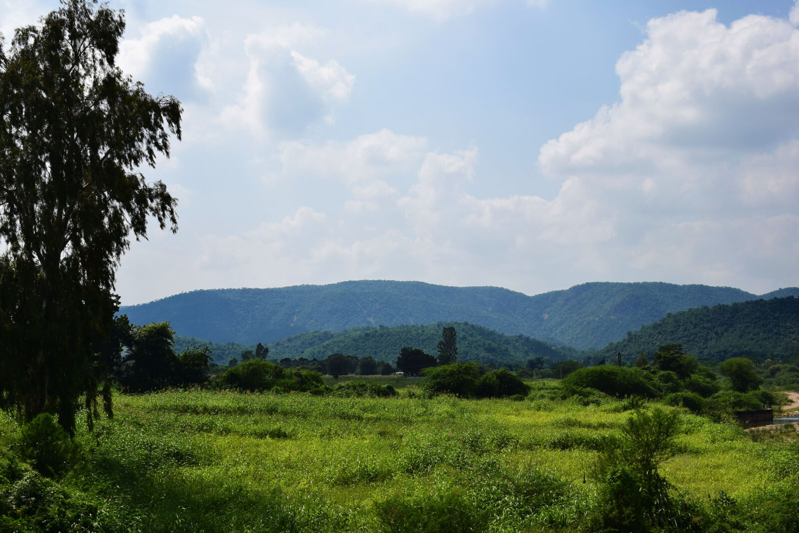Nikon D3300 sample photo. Landscape, nature, photography photography