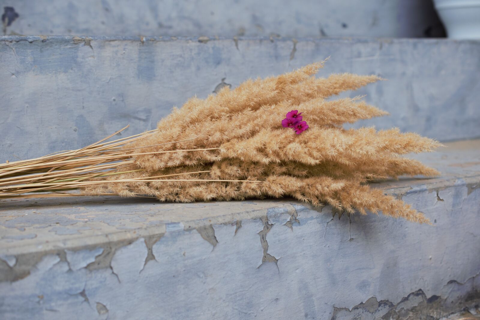 Nikon D5300 sample photo. Flowers, bouquet, decorative flower photography