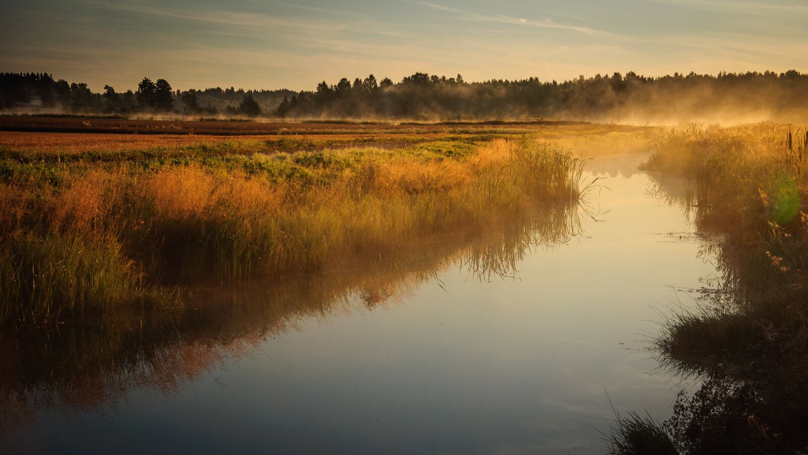 Nikon D5000 sample photo. Sunrise, morning, foggy photography