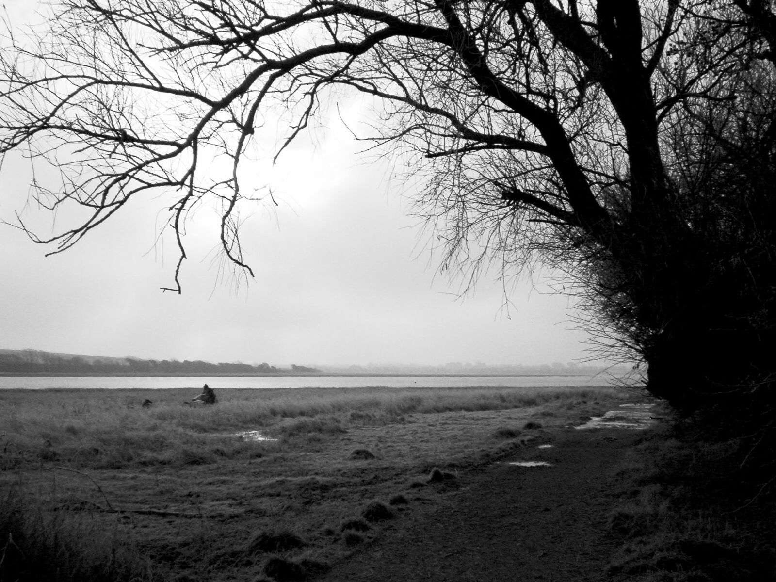 Kodak EASYSHARE C300 DIGITAL CAMERA sample photo. Bank, black, figure, path photography