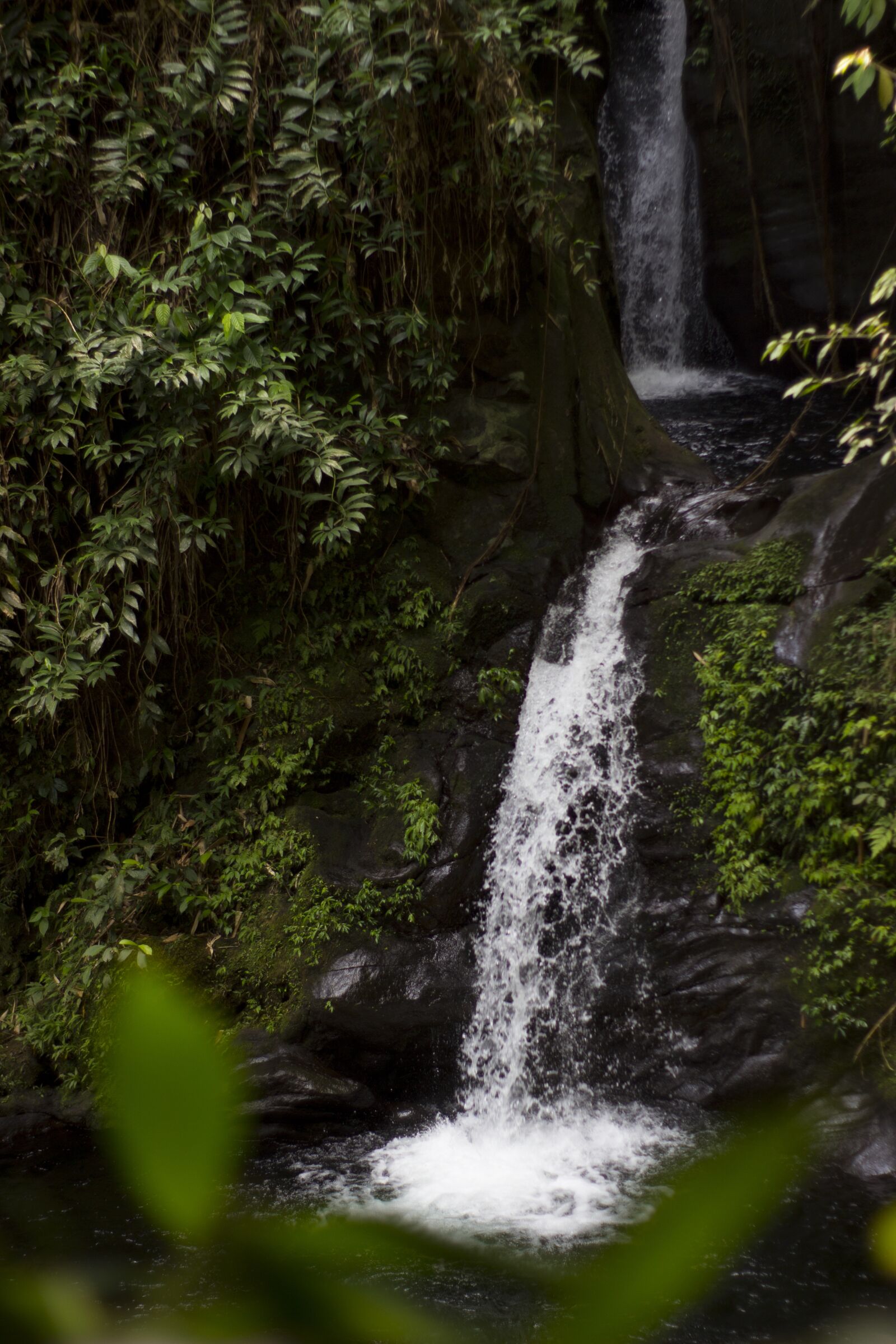 Canon EOS 600D (Rebel EOS T3i / EOS Kiss X5) sample photo. Waterfalls, nature, green photography