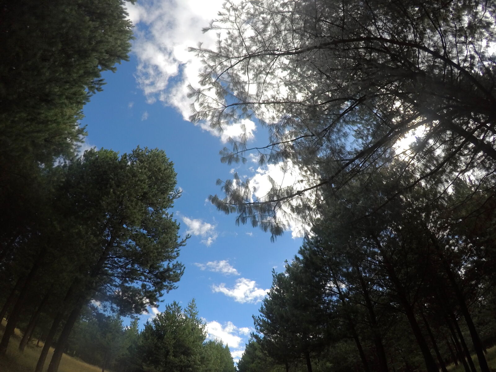GoPro Hero5 Black sample photo. Blue, sky, clouds, green photography