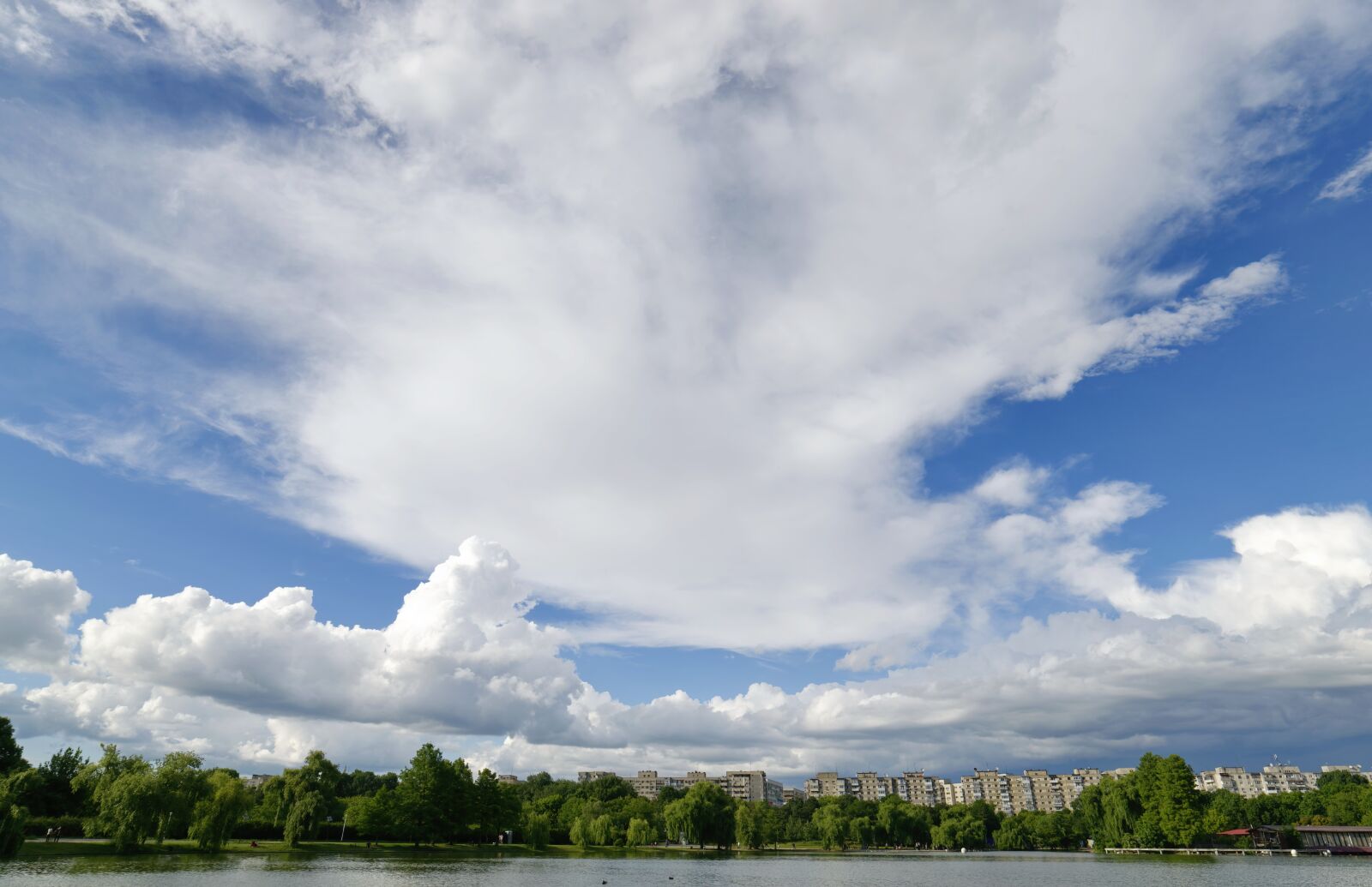 Nikon D5300 sample photo. Landscape, nature, park photography