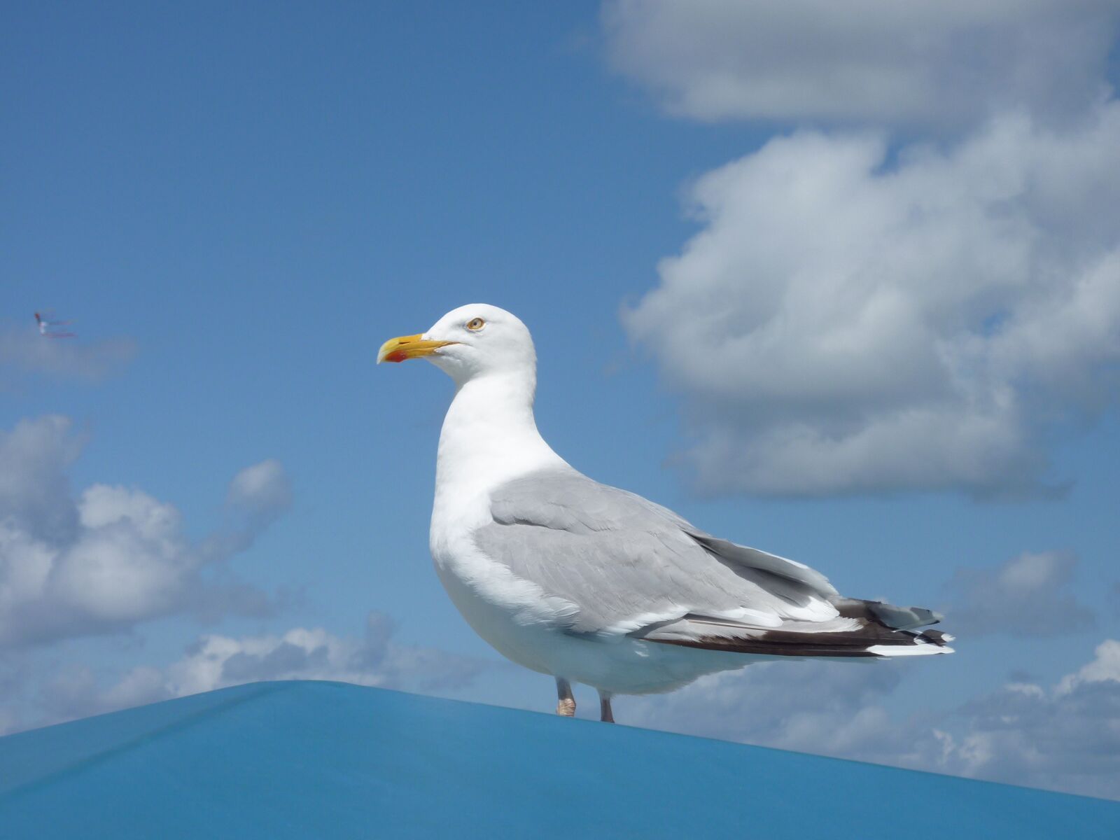 Panasonic DMC-TZ7 sample photo. Borkum, sky, clouds photography