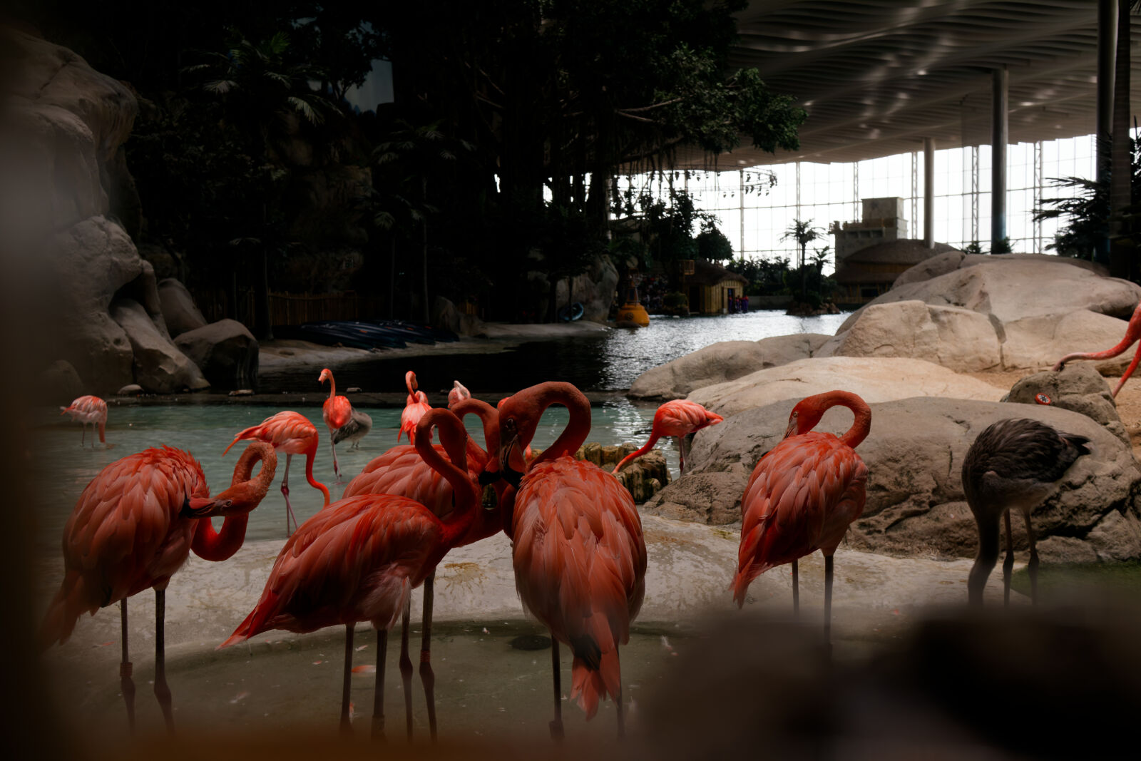 Canon EOS M6 + Canon EF-M 22mm F2 STM sample photo