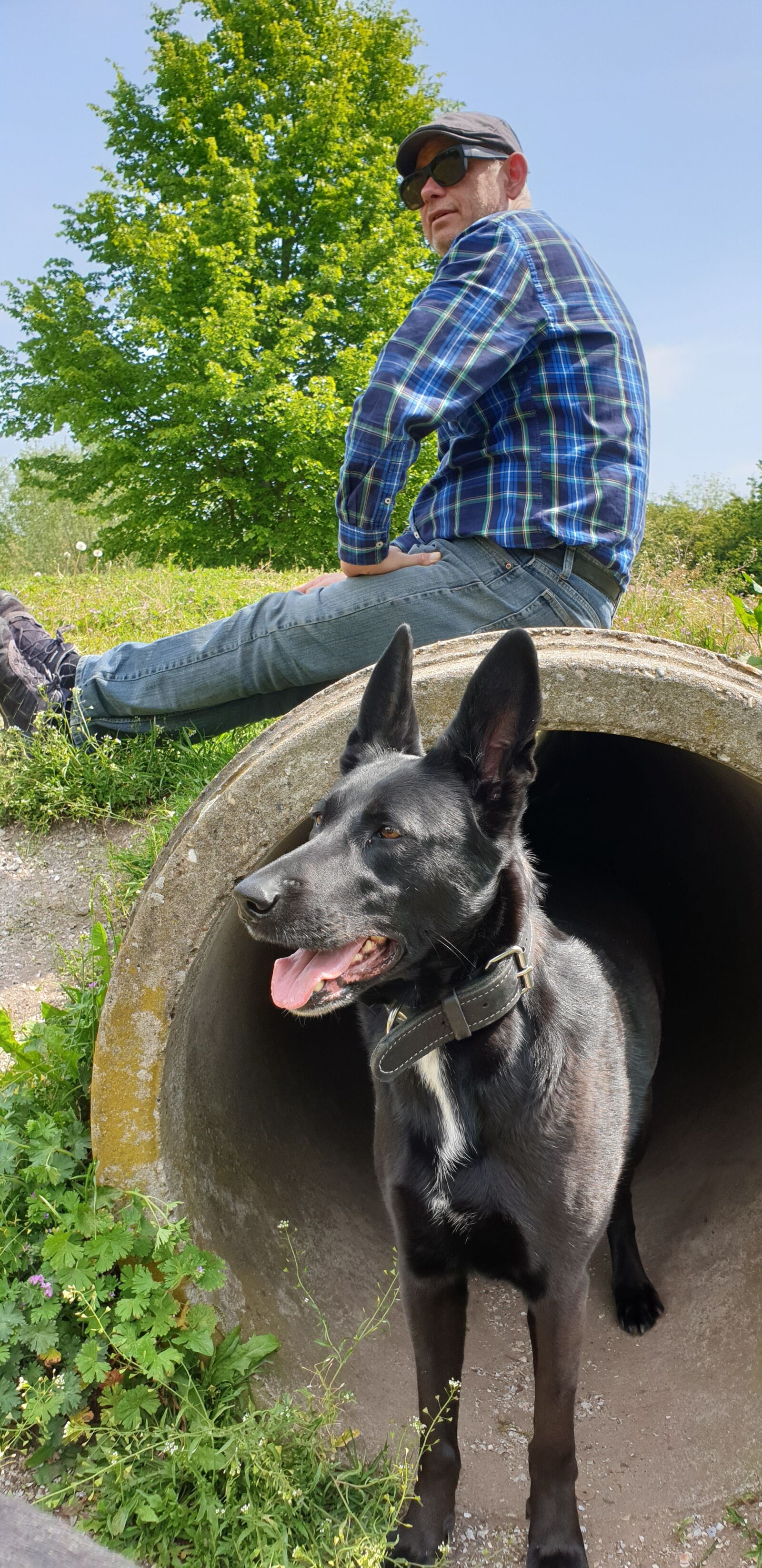 Samsung Galaxy Note9 sample photo. Pet, dog, black photography
