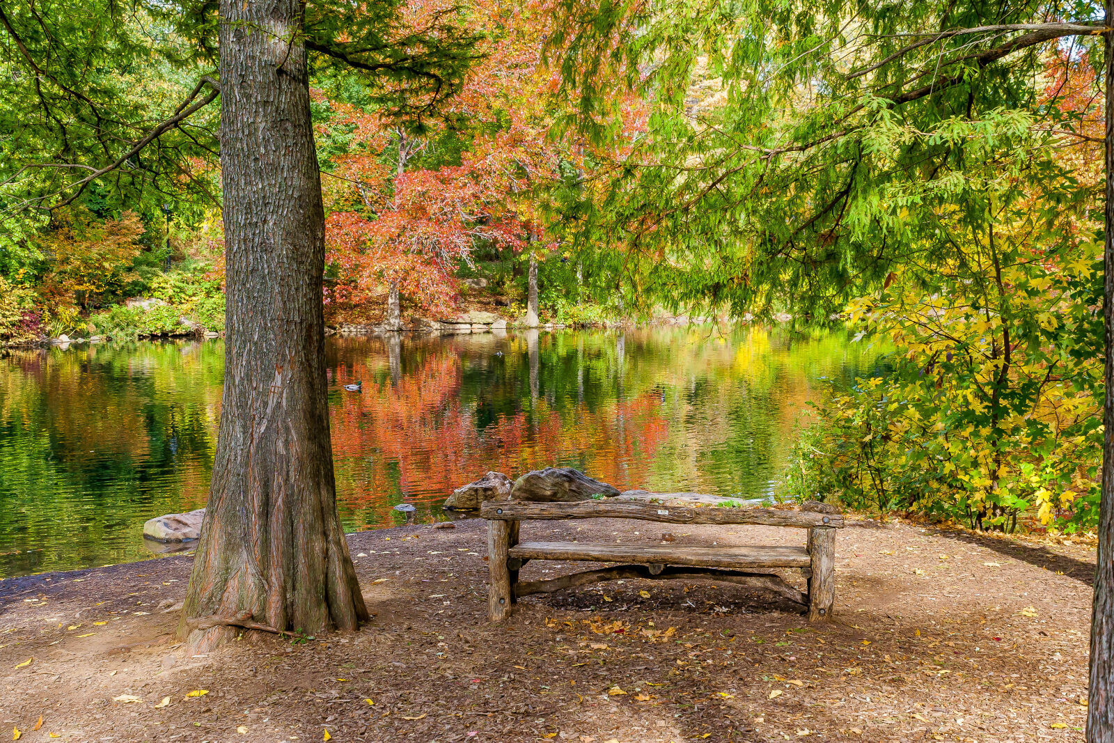 Canon EOS 1000D (EOS Digital Rebel XS / EOS Kiss F) sample photo. Autumn, autumn, leaves, bench photography
