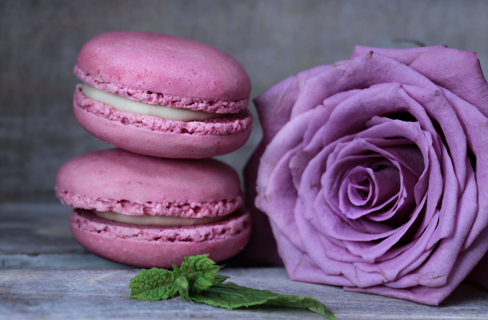 Canon EOS 100D (EOS Rebel SL1 / EOS Kiss X7) sample photo. Macarons, rose, floribunda photography