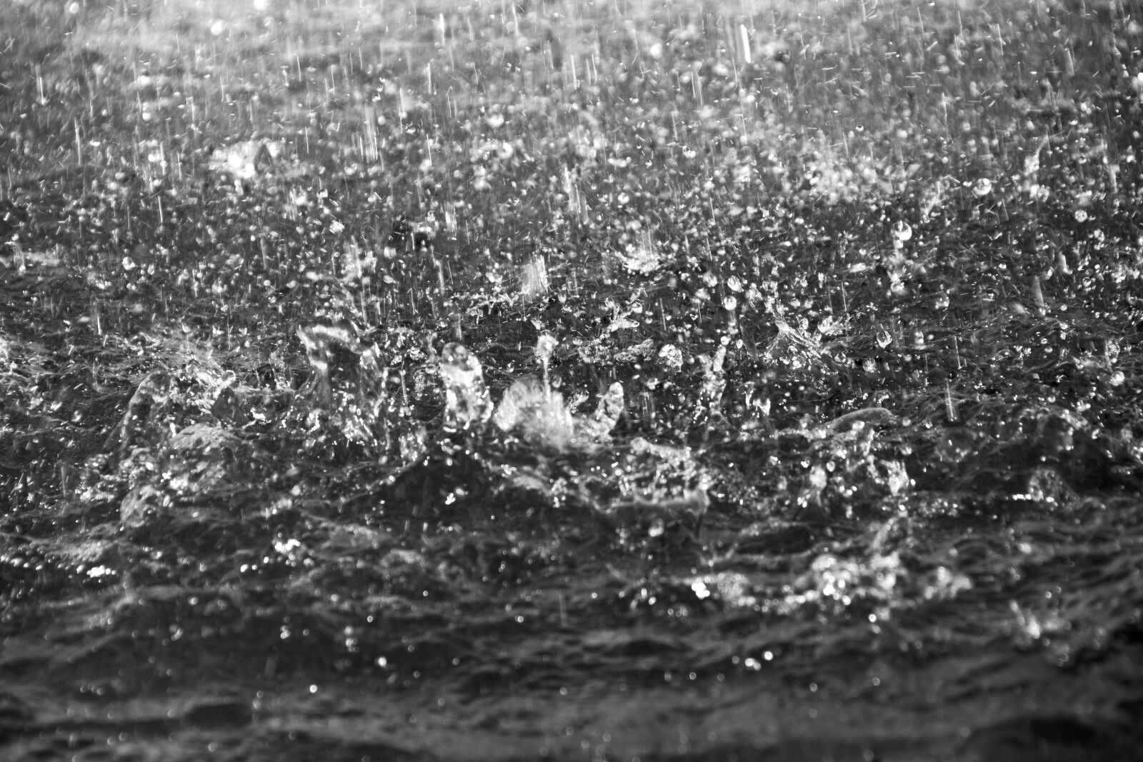 Nikon D5600 sample photo. Rain, puddle, flood photography