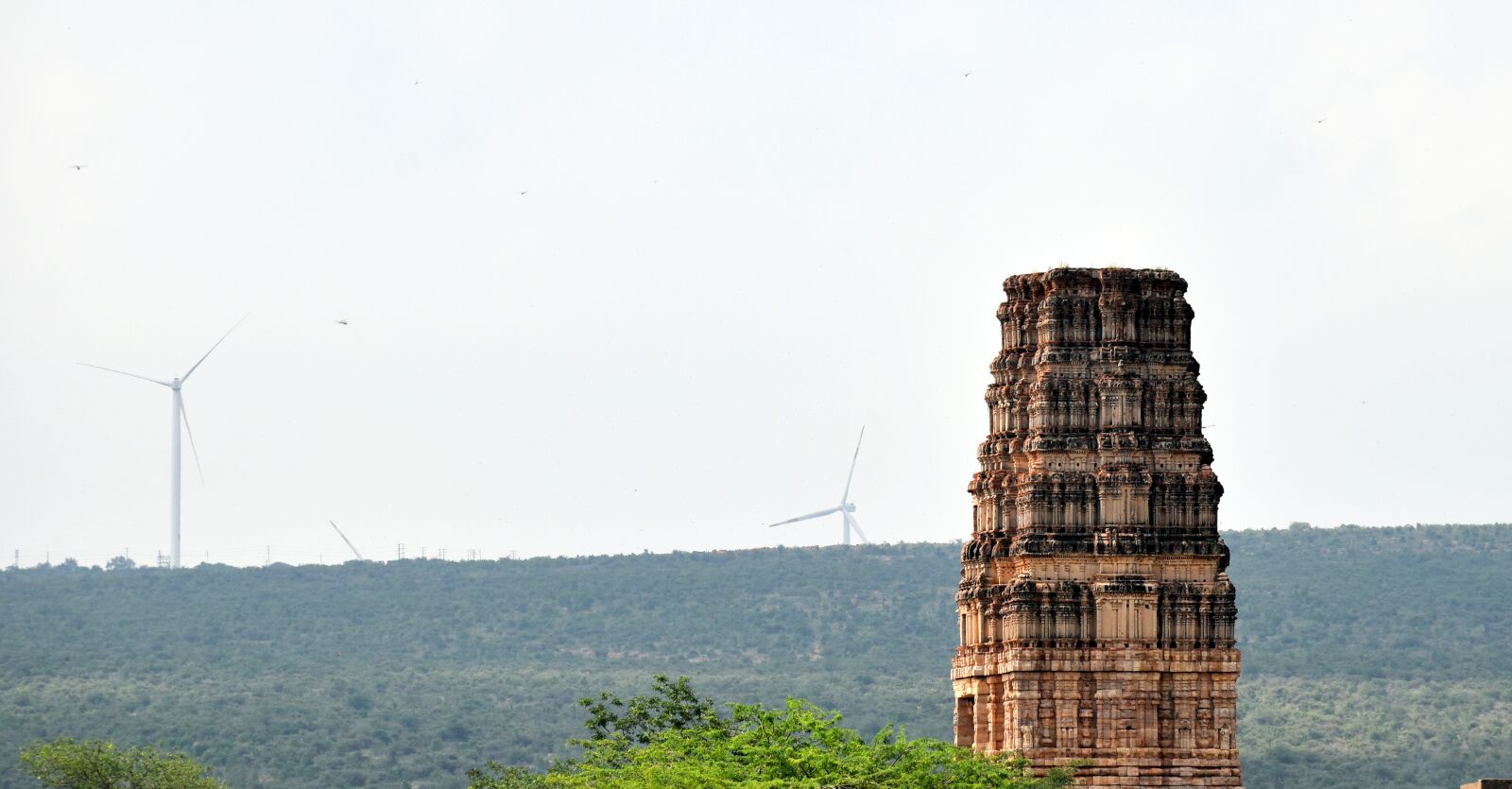 Nikon D5500 sample photo. Madhavaraya temple, tower, gandikota photography