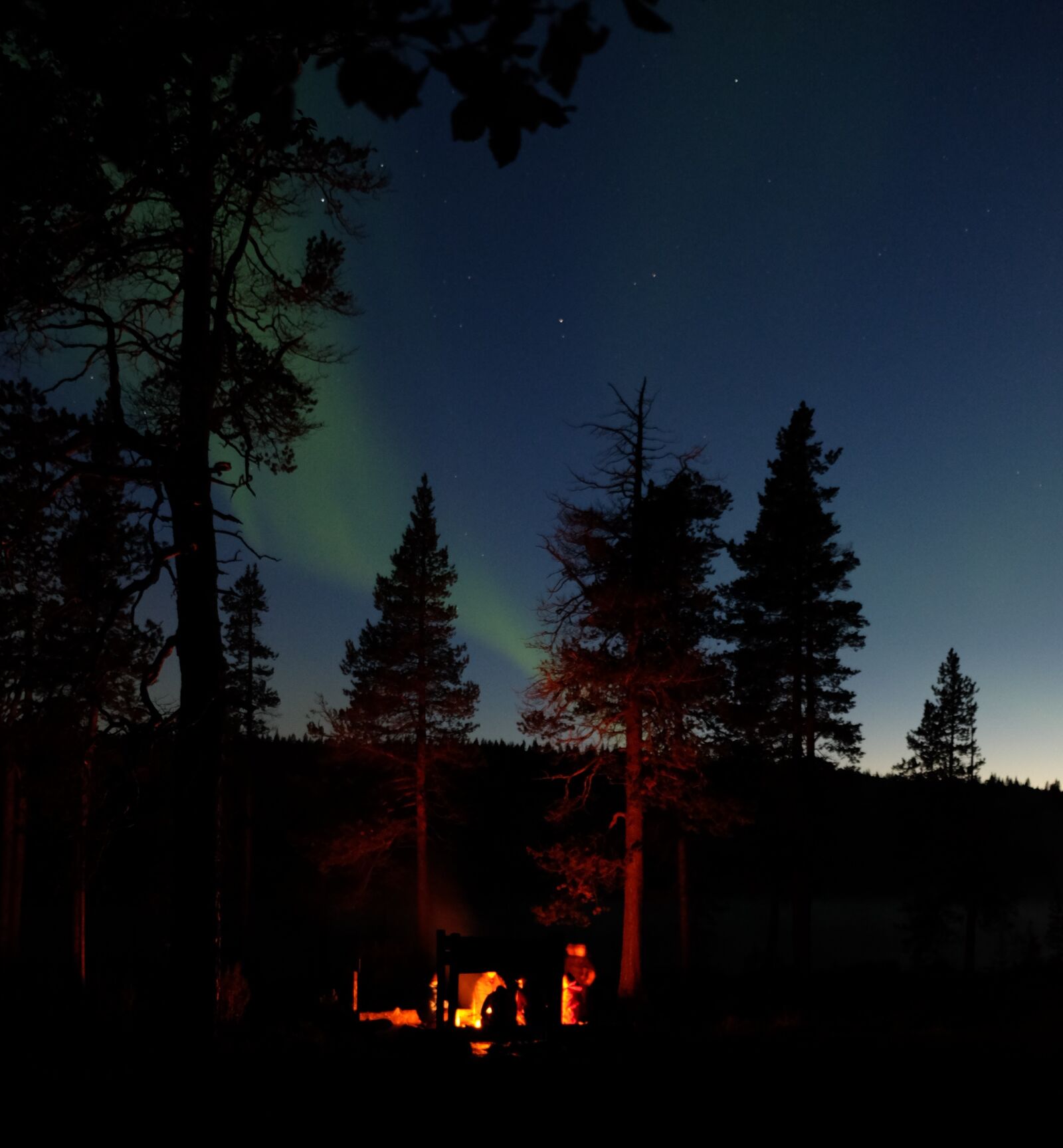 Fujifilm X-E2S sample photo. Finland, lapland, trees photography