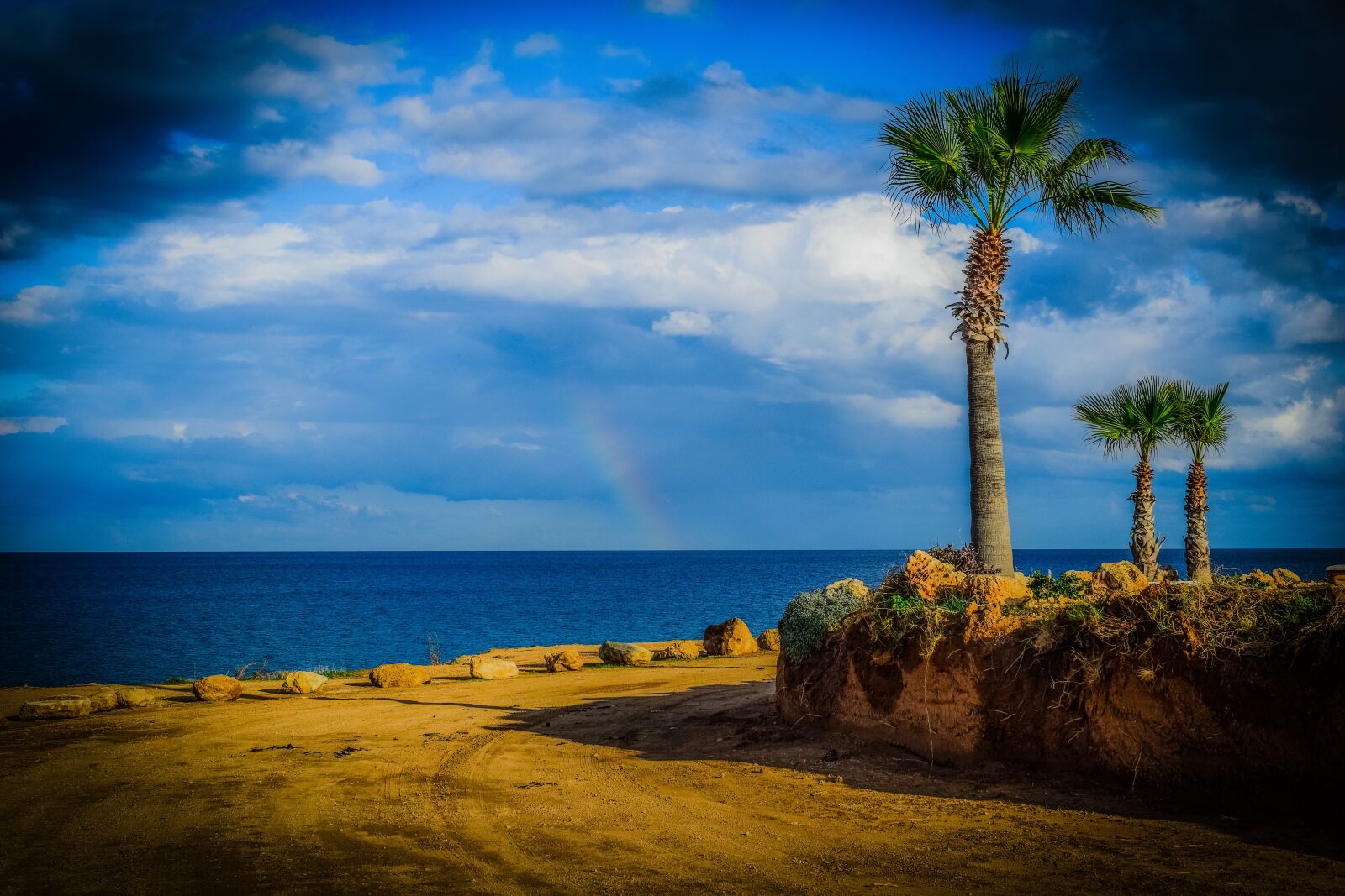 Nikon D3300 sample photo. Palm trees, sky, clouds photography