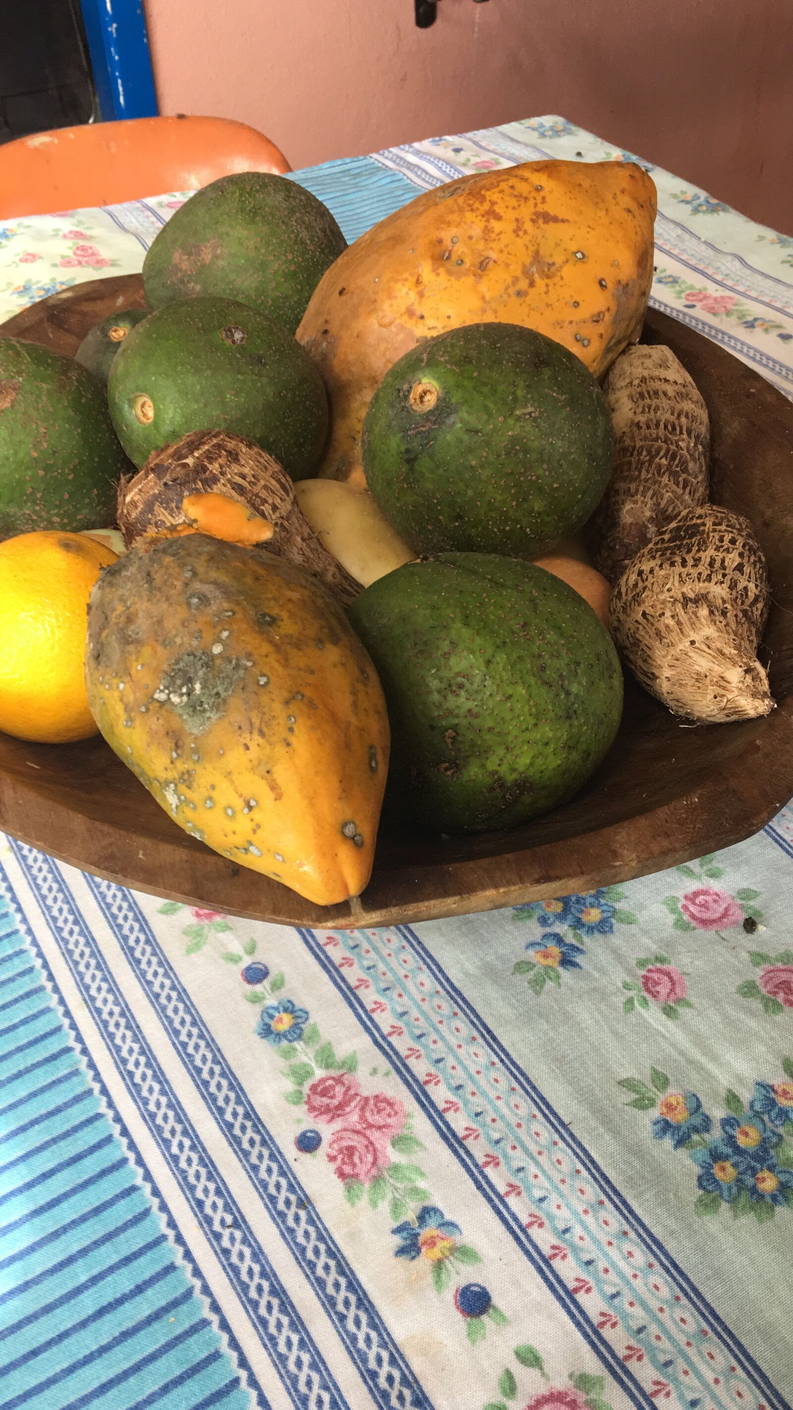 Apple iPhone 6s sample photo. Tropical, fruit, fruits photography