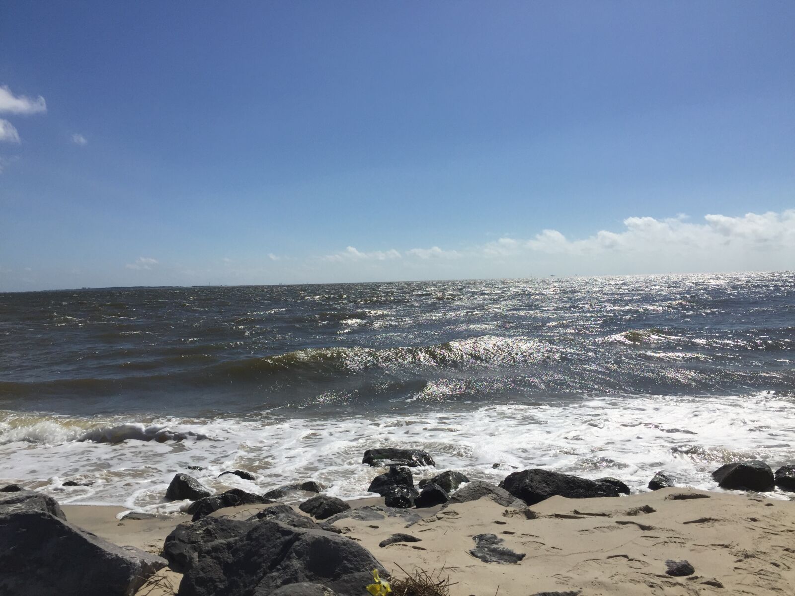 iPhone 6 Plus back camera 4.15mm f/2.2 sample photo. Dauphin, island, mobile, bay photography