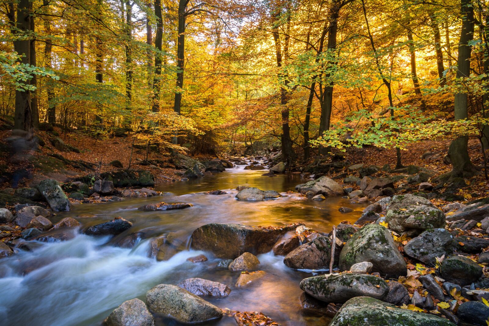 Tokina AT-X 16-28mm F2.8 Pro FX sample photo. Fall foliage, ilse, long photography