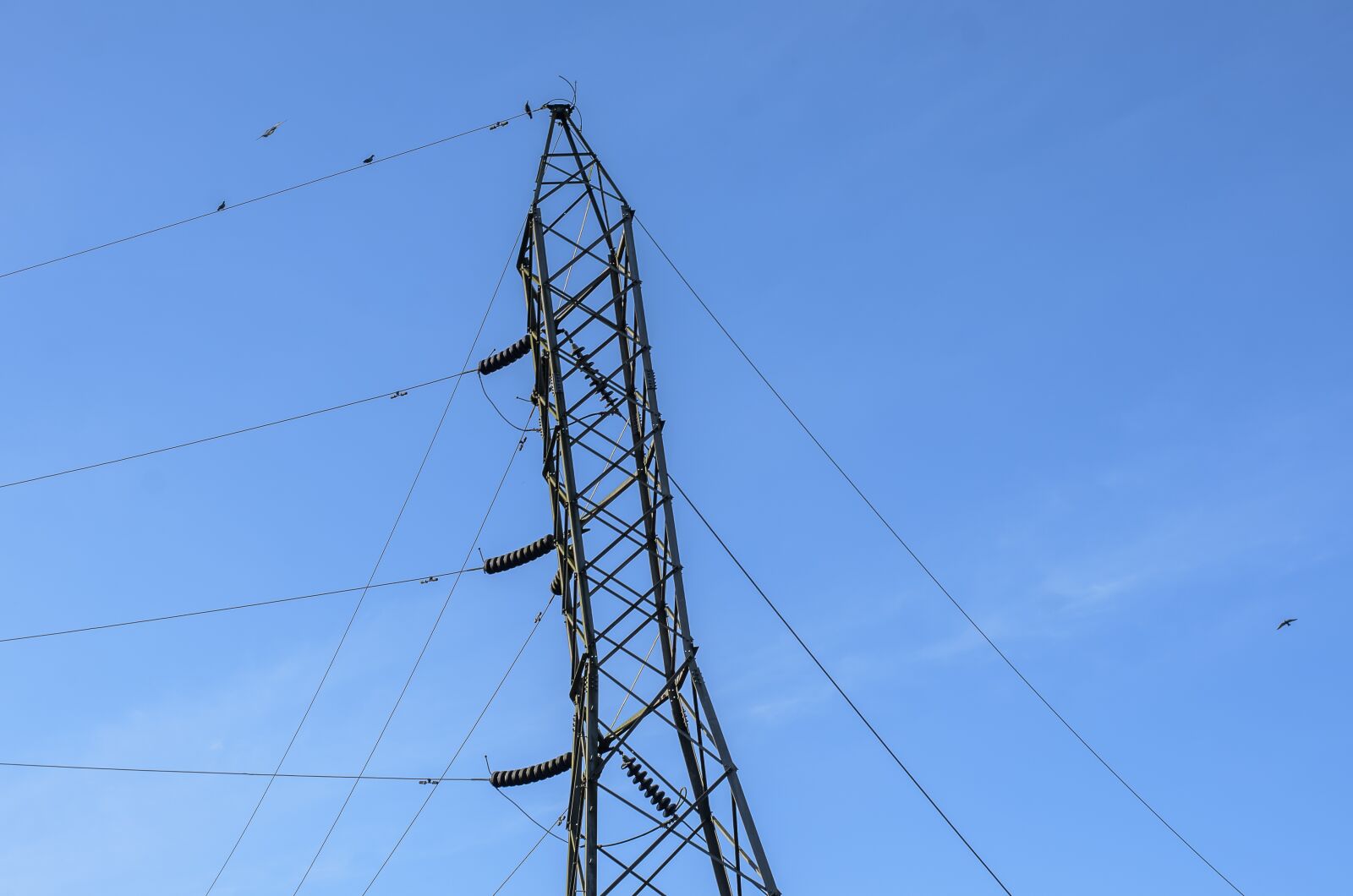 Nikon D7000 sample photo. Power line, power, electric photography