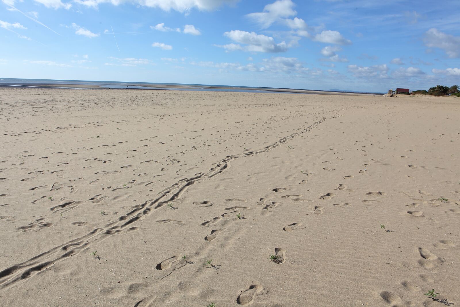 Canon EOS 5D Mark II sample photo. Sand, desert, dry photography