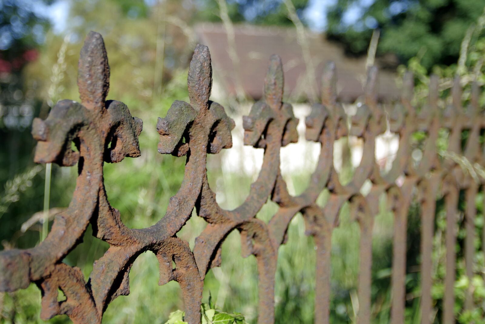Pentax K-S2 sample photo. Fencing, accessory, the fence photography