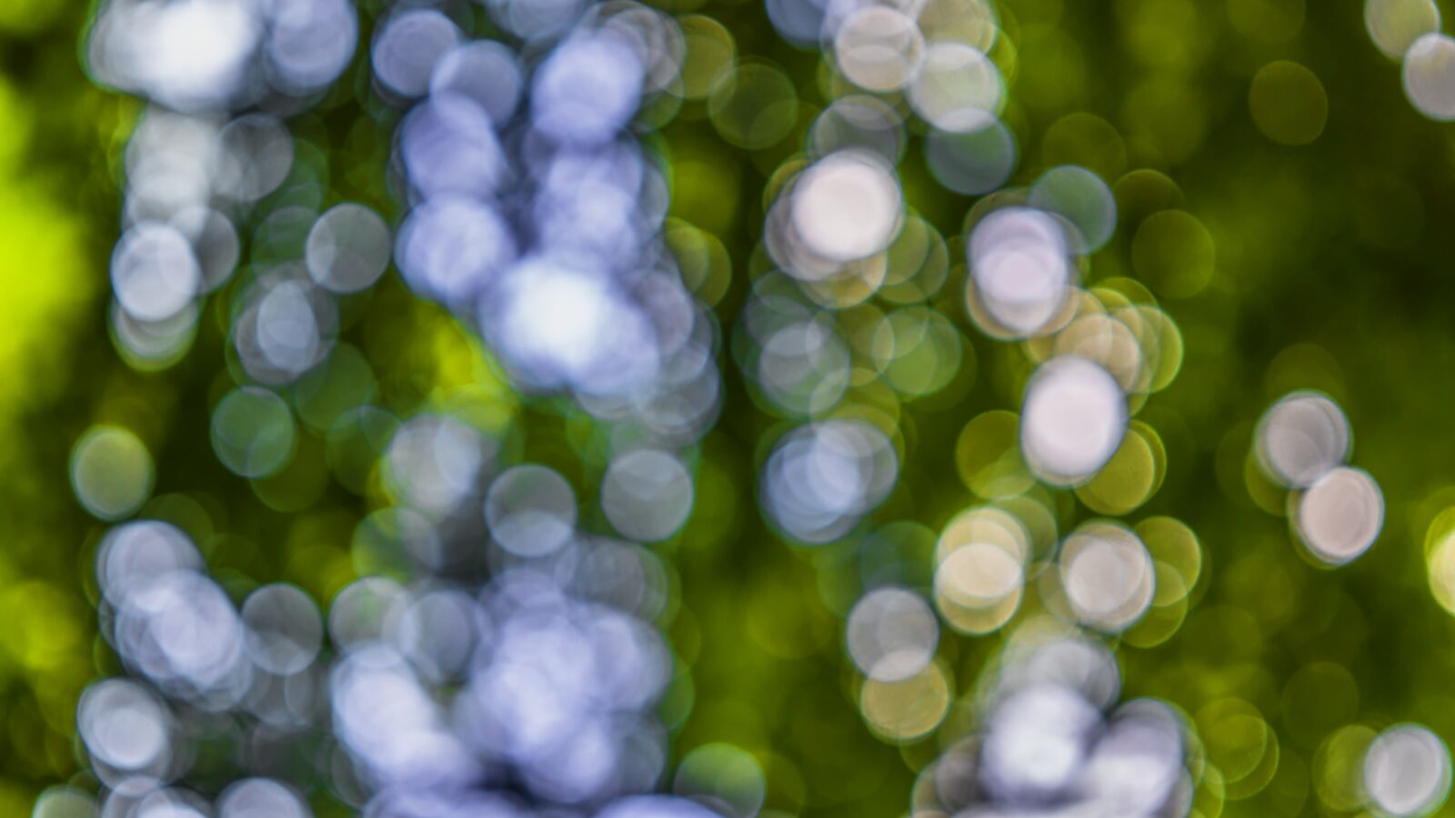 Sony a6300 + Sigma 30mm F2.8 EX DN sample photo. Bokeh, blur, background photography