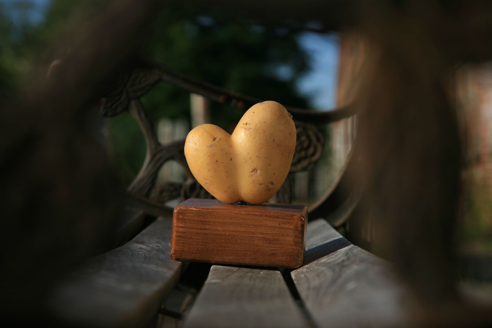 Canon EOS 5D sample photo. Potato, heart, vegetables photography