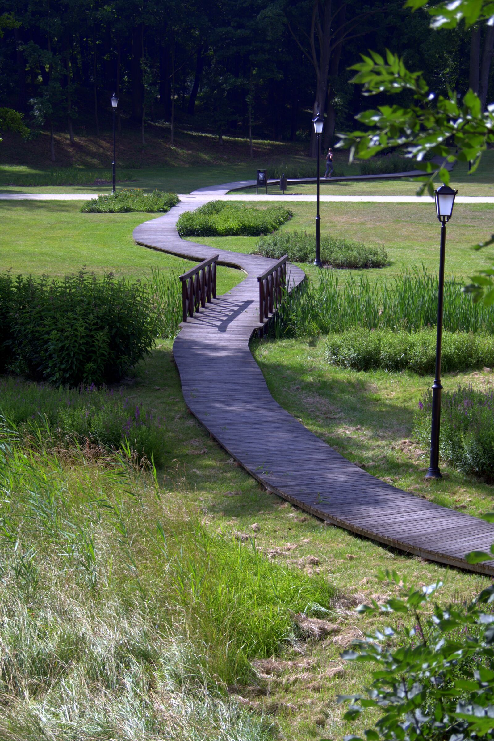Pentax K-S2 sample photo. The path, way, park photography