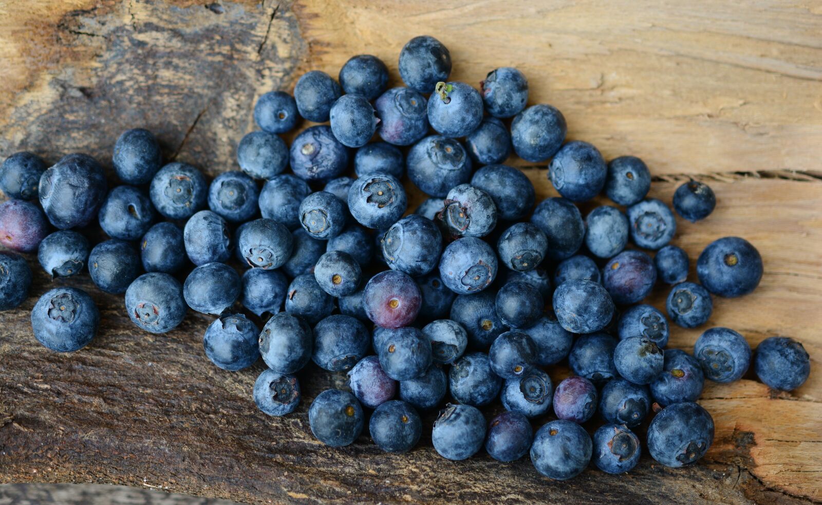 Nikon D5200 sample photo. Blueberries, berries, fruit photography