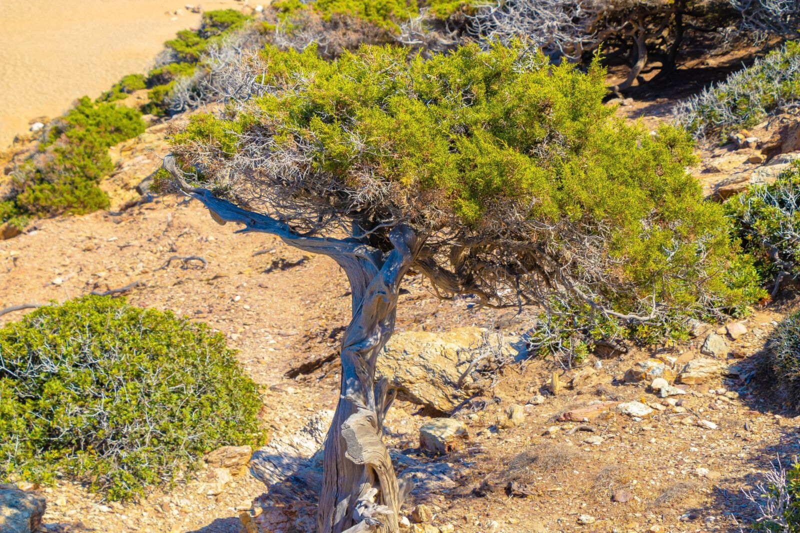 Canon EOS 80D sample photo. Crete, greece, the stones photography