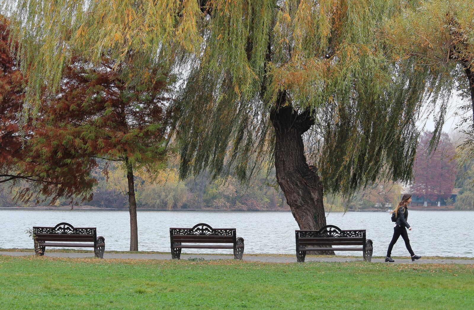 Canon EOS 1300D (EOS Rebel T6 / EOS Kiss X80) sample photo. Lake, autumn, landscape photography