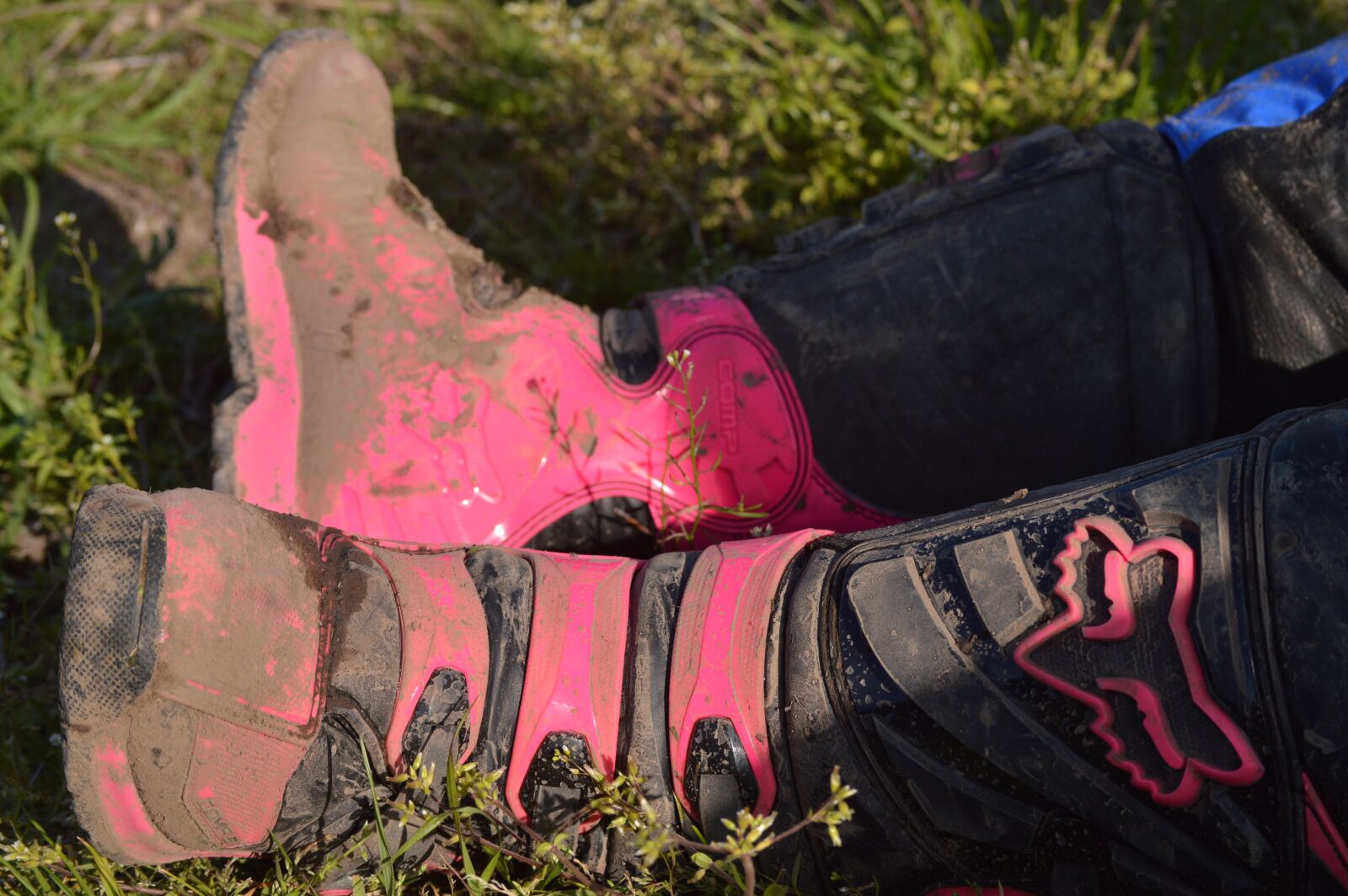 Nikon D3200 sample photo. Boots, fox, racing photography