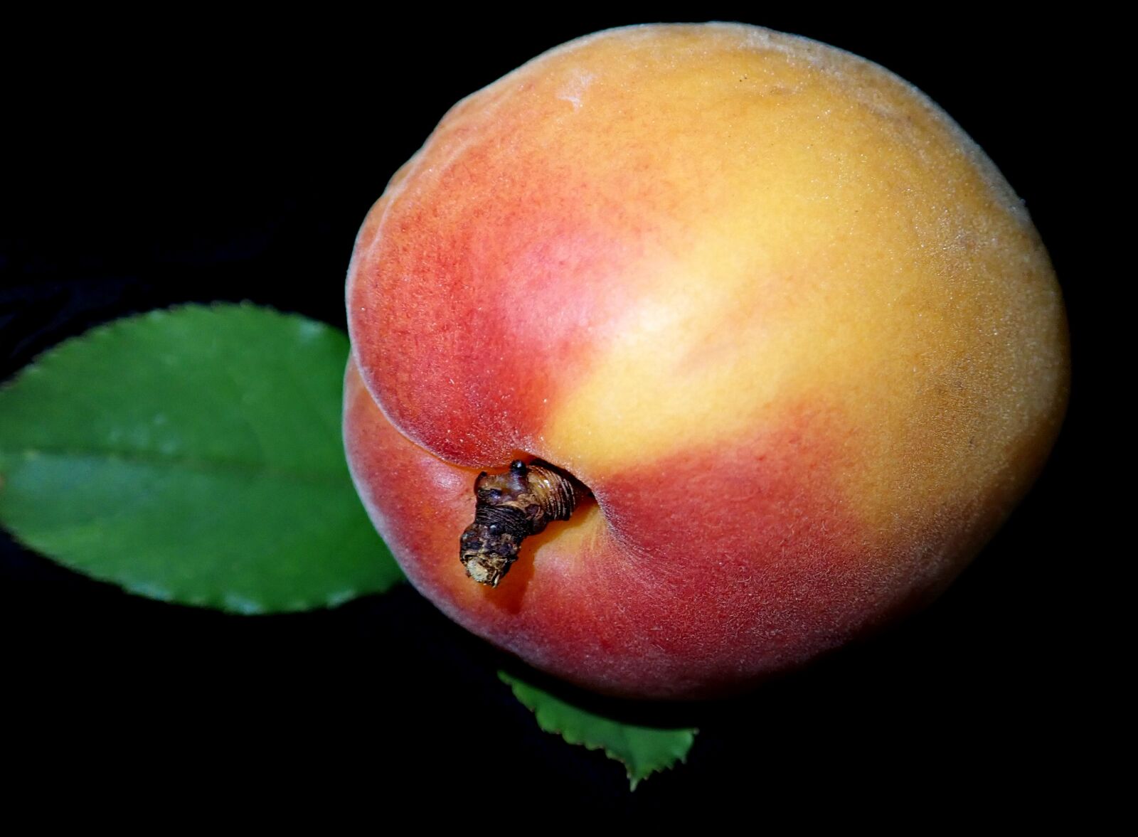 Olympus TG-5 sample photo. Apricot, fruit, food photography