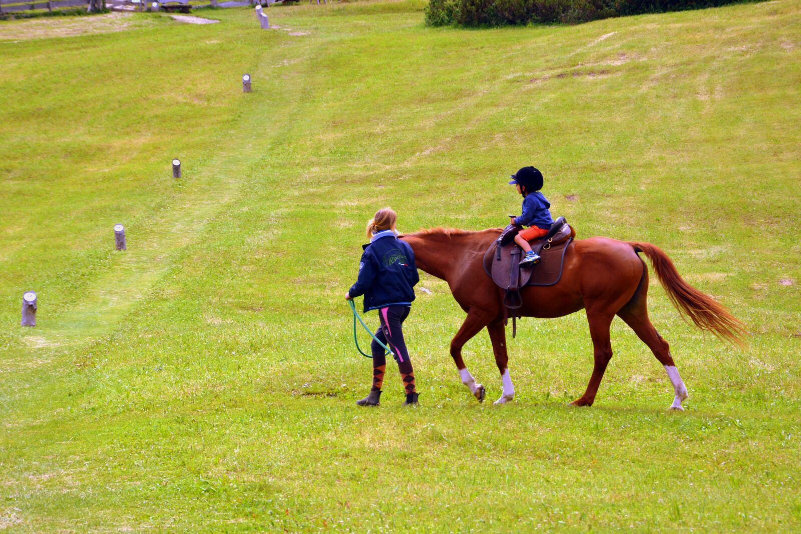 Nikon D7100 sample photo. Horse, horse racing, ride photography
