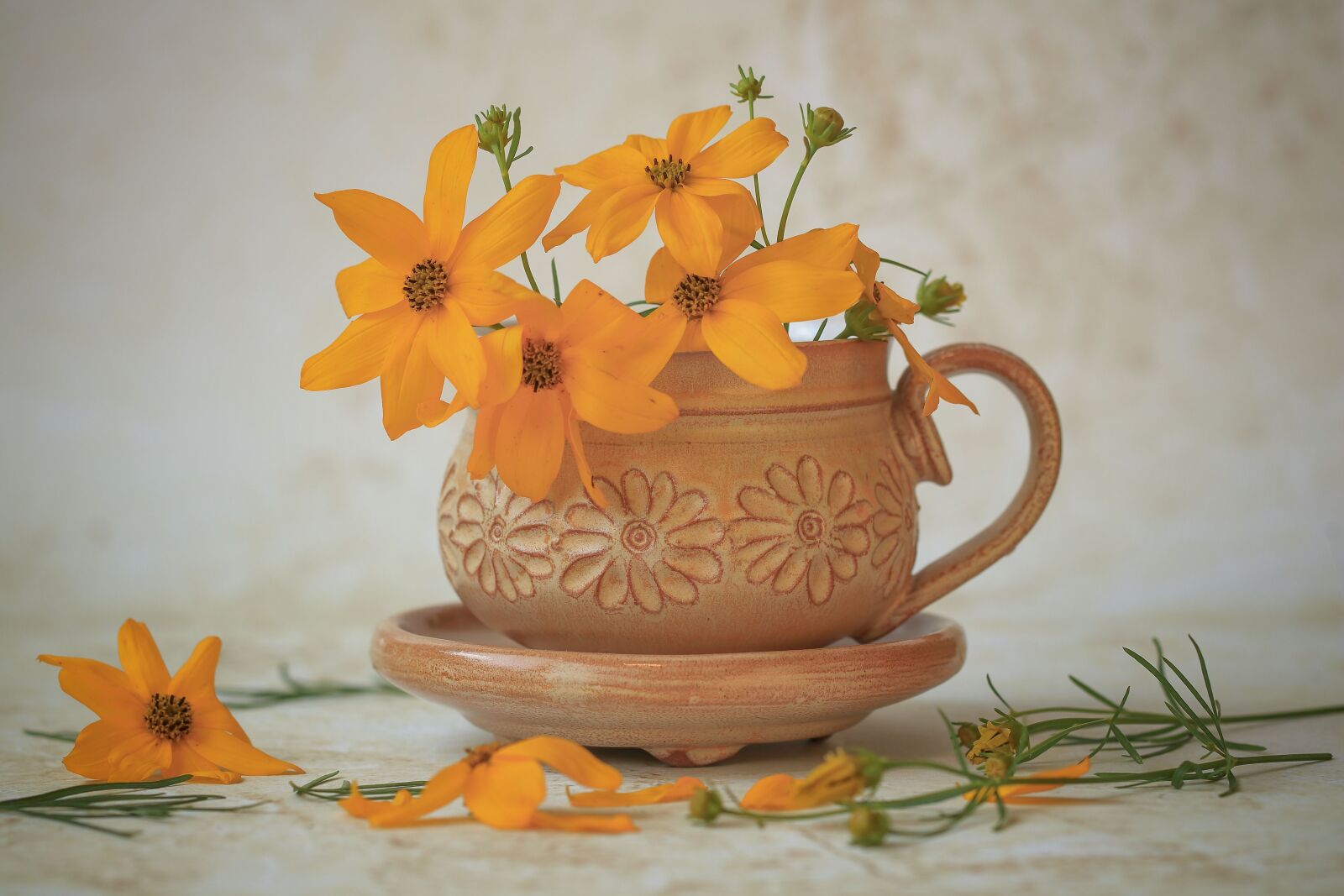 Canon EOS 77D (EOS 9000D / EOS 770D) sample photo. Flowers, plant, flora photography
