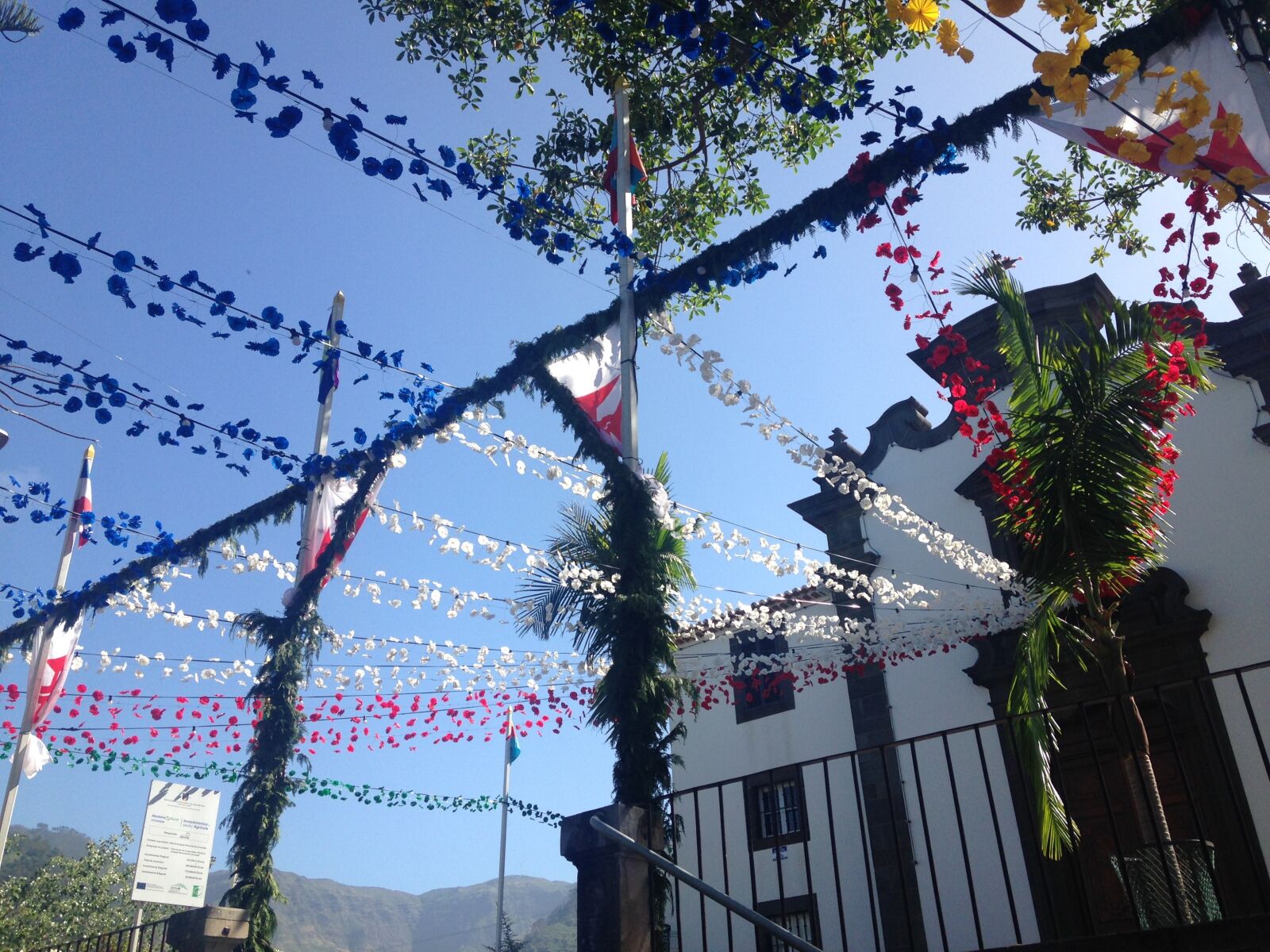 iPhone 5c back camera 4.12mm f/2.4 sample photo. Church, flowers, festival photography