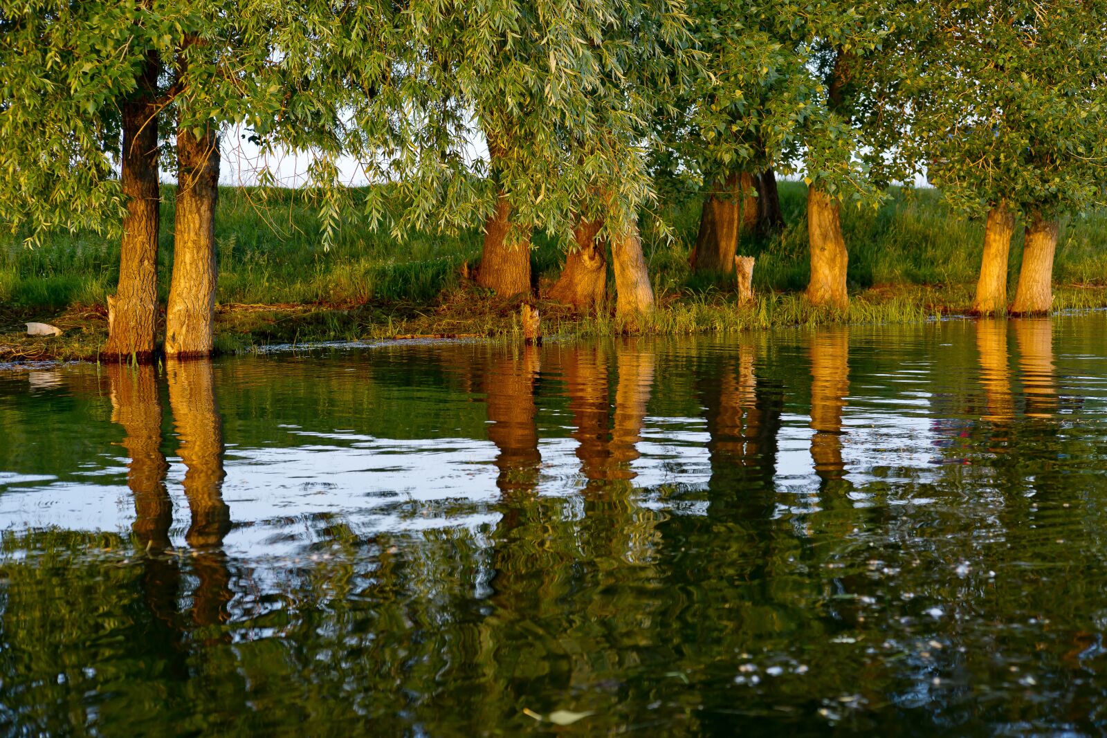Sony Alpha DSLR-A850 sample photo. River, water, sunset photography