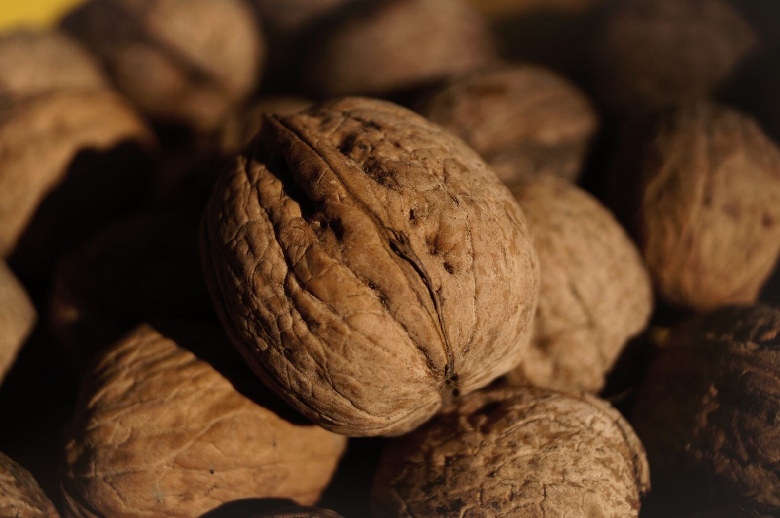 Sony DT 18-55mm F3.5-5.6 SAM II sample photo. Walnut, crop, brown photography