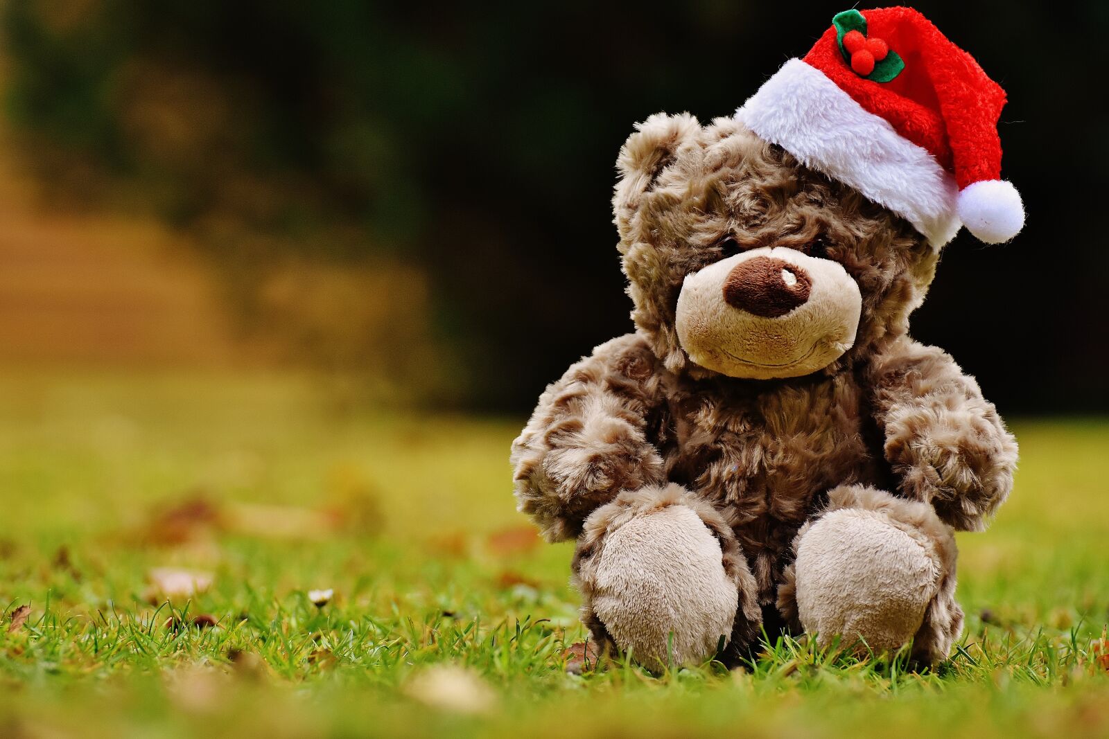 Nikon D7200 sample photo. Christmas, teddy, soft toy photography