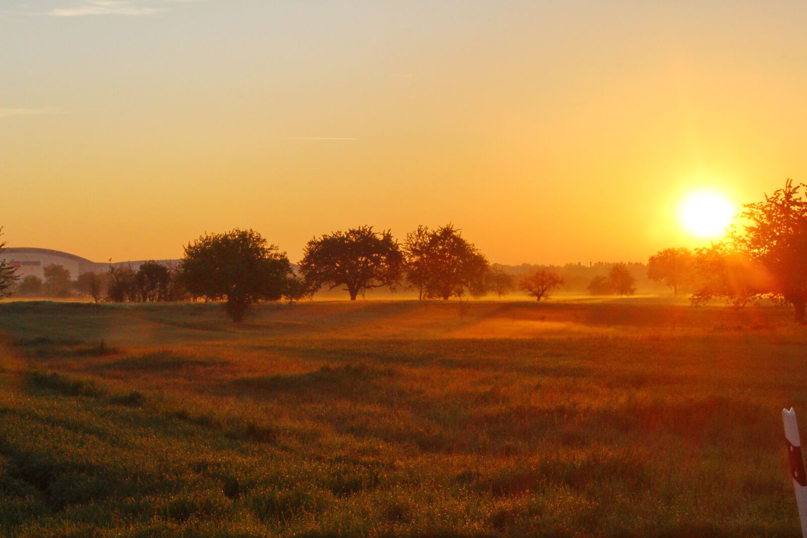 Canon EOS 700D (EOS Rebel T5i / EOS Kiss X7i) sample photo. Sunrise, autumn, fog photography