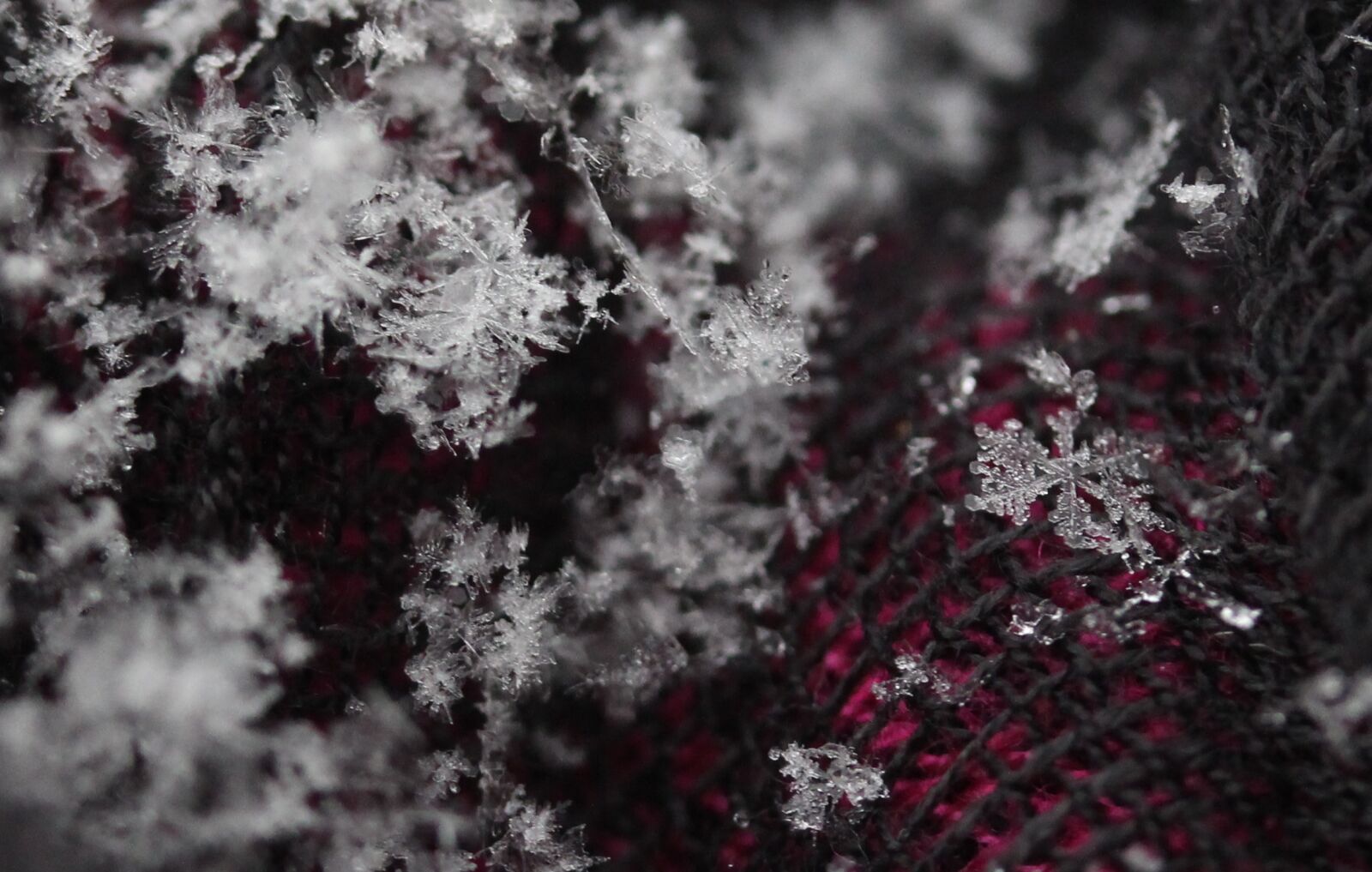 Canon EF-S 60mm F2.8 Macro USM sample photo. Snowflake, winter, white photography