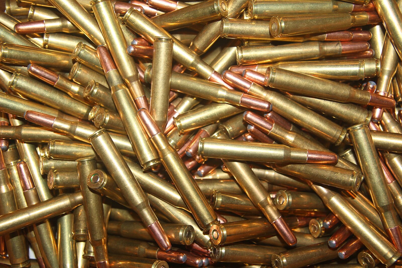 Canon EOS 600D (Rebel EOS T3i / EOS Kiss X5) sample photo. Ammunition, 30-06, long arms photography