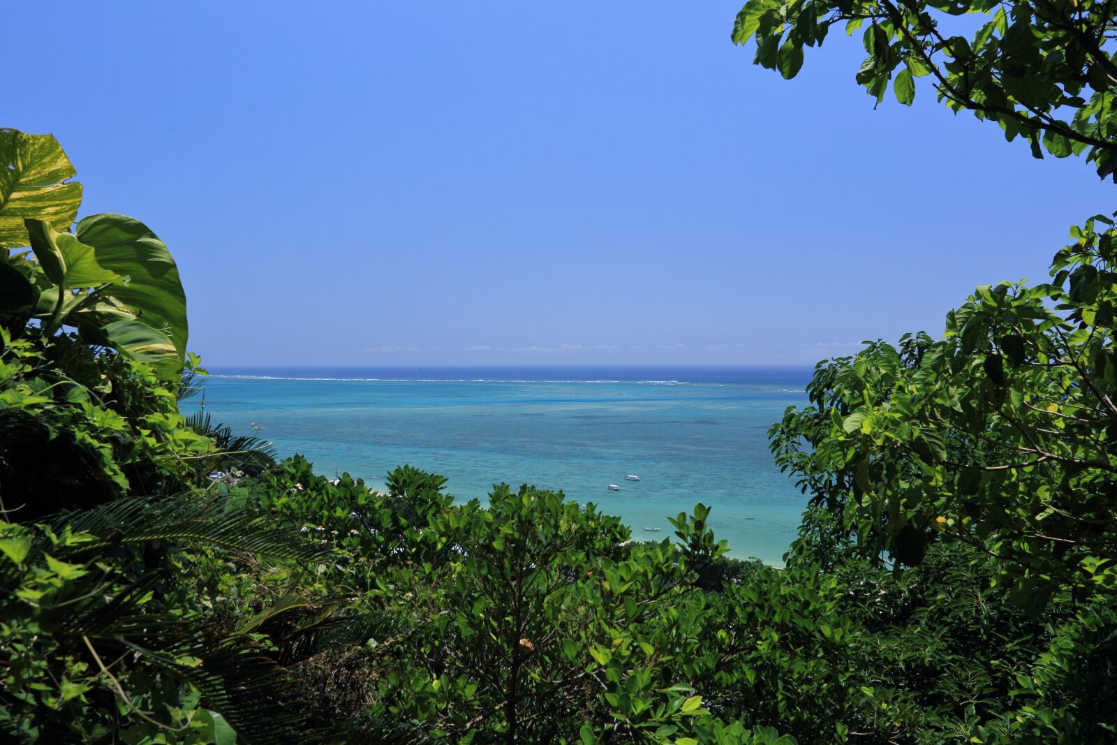 Canon EOS 6D sample photo. Okinawa, blue sea, coral photography