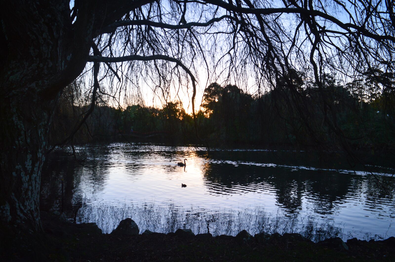 Nikon D3200 sample photo. Dusk, evening, nature photography