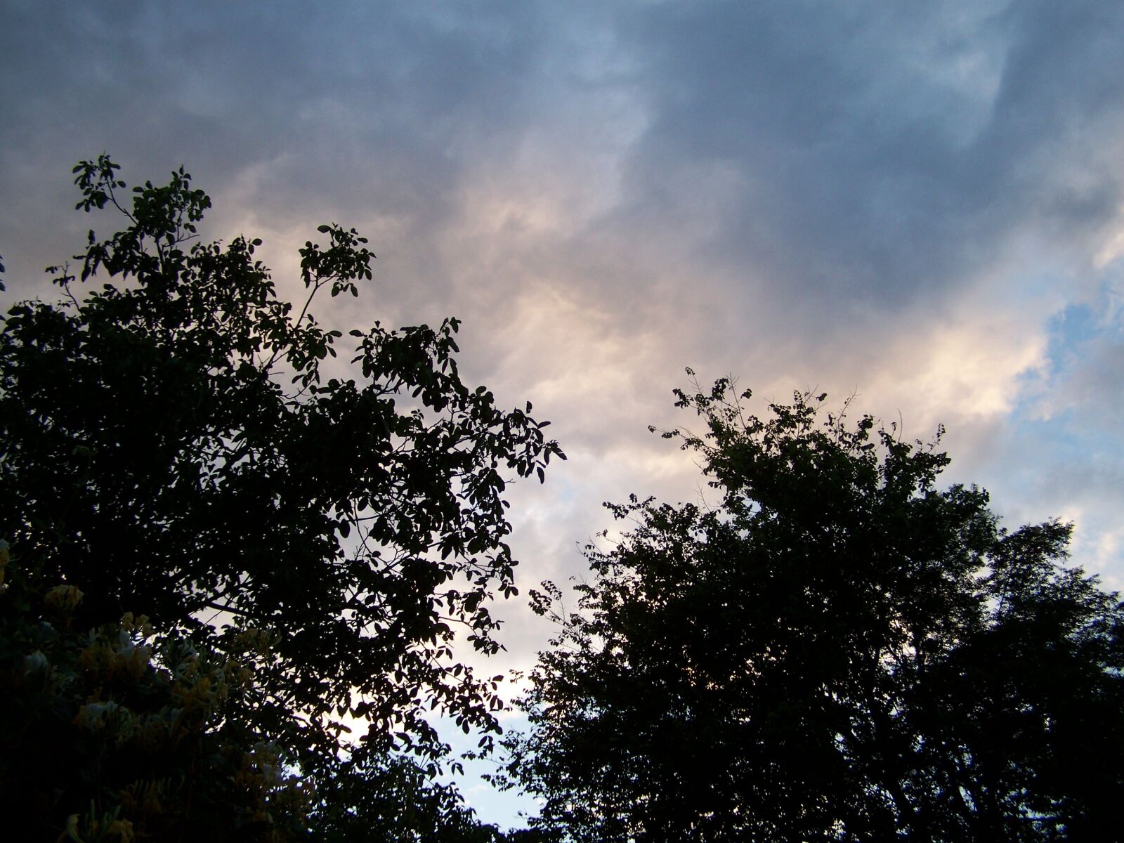 Kodak EASYSHARE ZD710 ZOOM DIGITAL CAMERA sample photo. Sky, forest, sunset photography