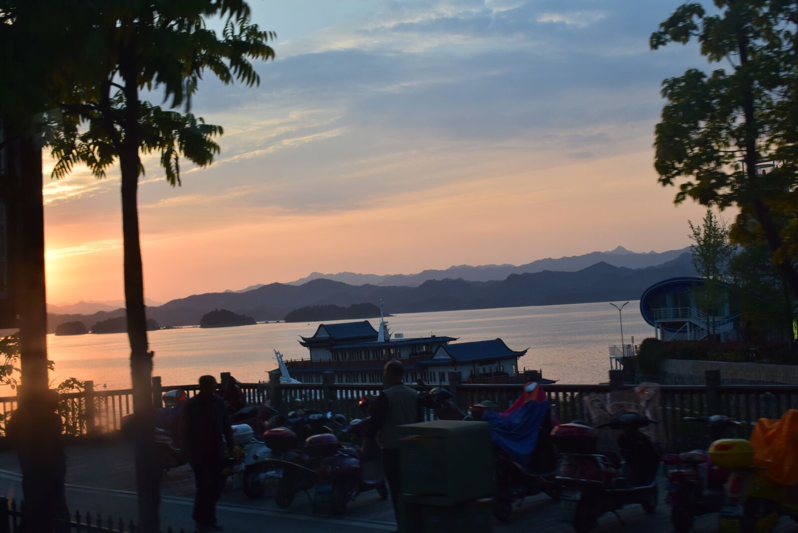 Nikon D5300 sample photo. The scenery, plant, background photography