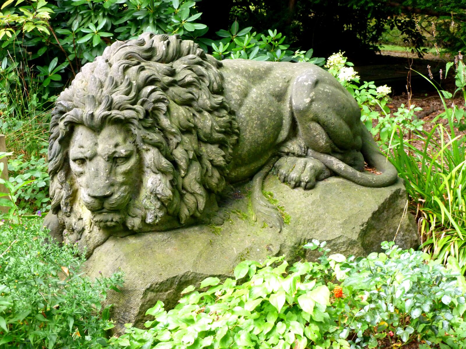 Panasonic DMC-FS37 sample photo. Stone figure, stone lion photography